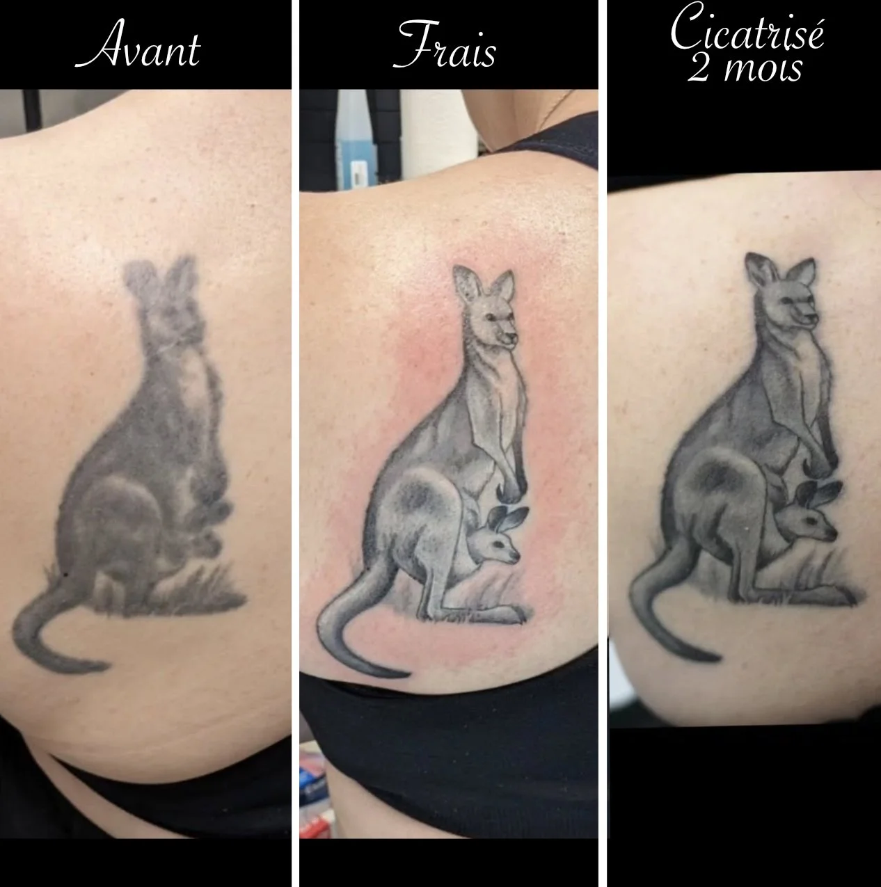 Restauration cicatrise .jpg