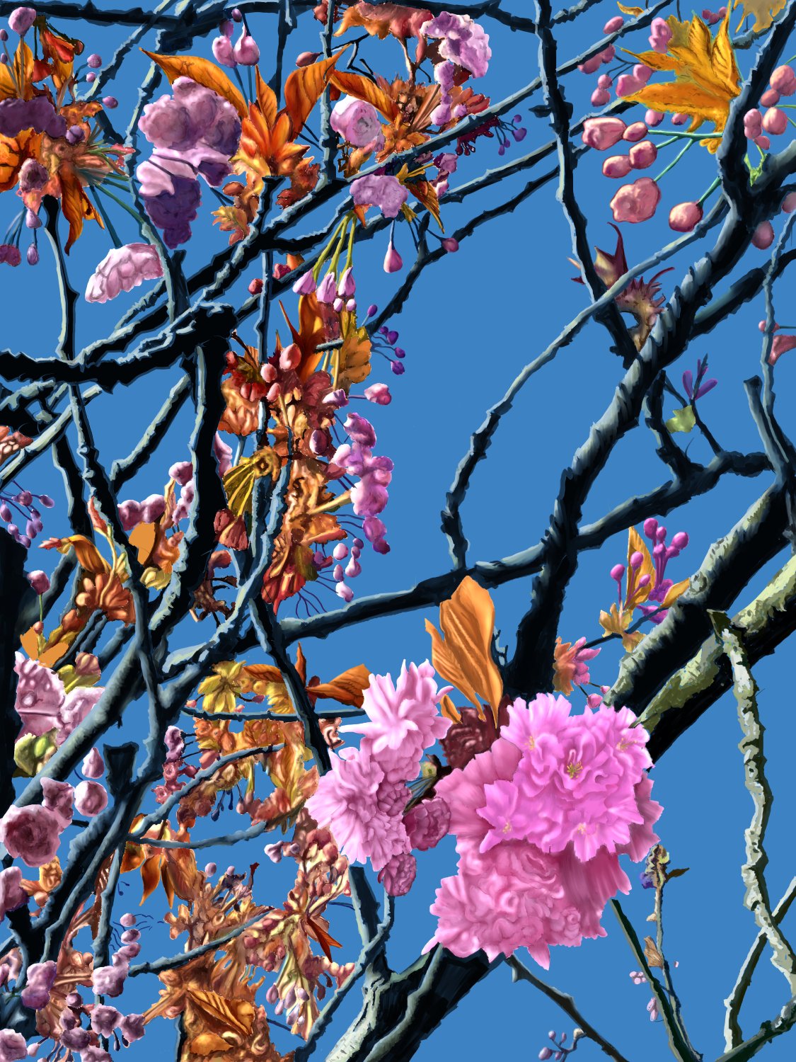 Blossom
