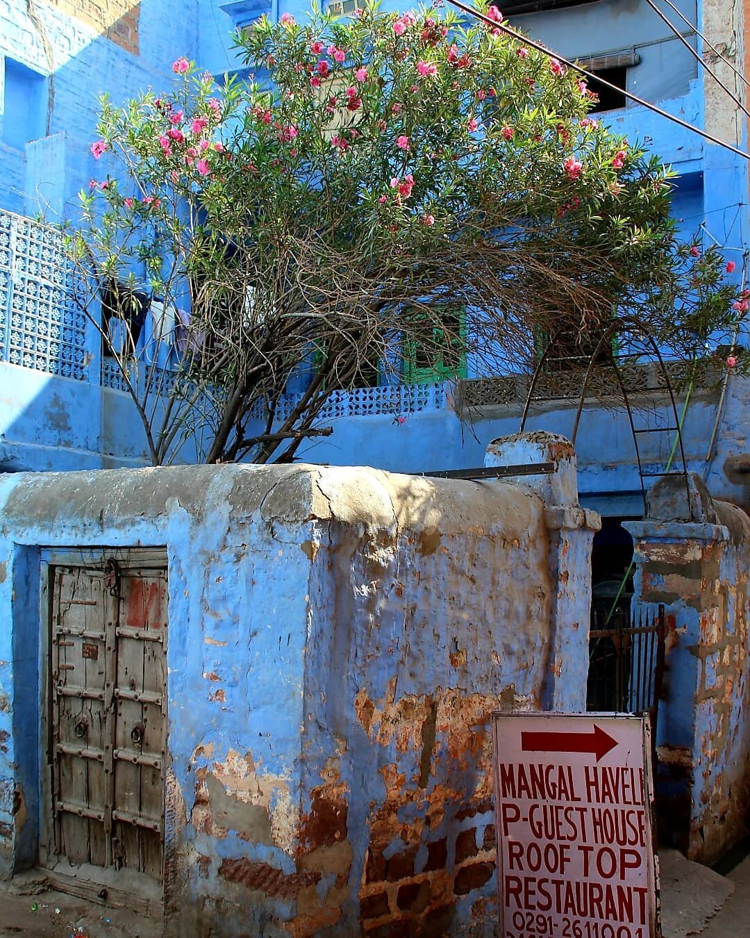 #Streets#jodhpur#jodhpurcity#rooftop#haveli#olddoor#blue