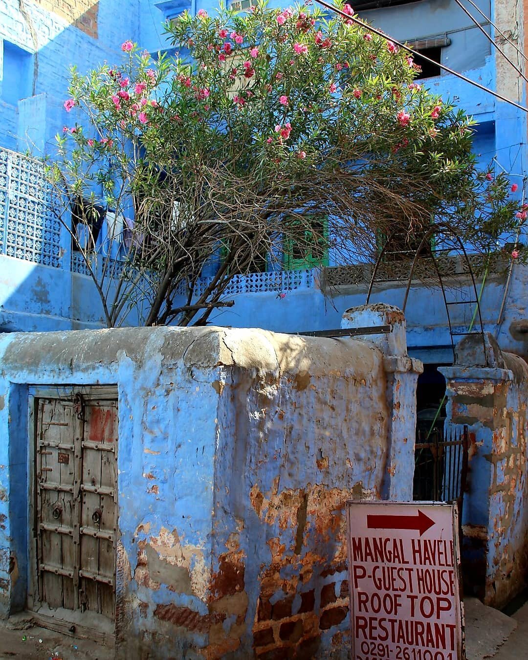 #Streets#jodhpur#jodhpurcity#rooftop#haveli#olddoor#blue