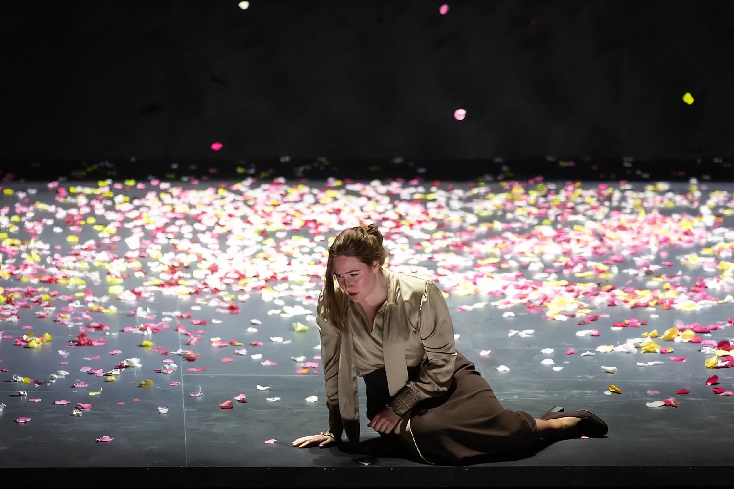 Flower petals_v1.JPEG