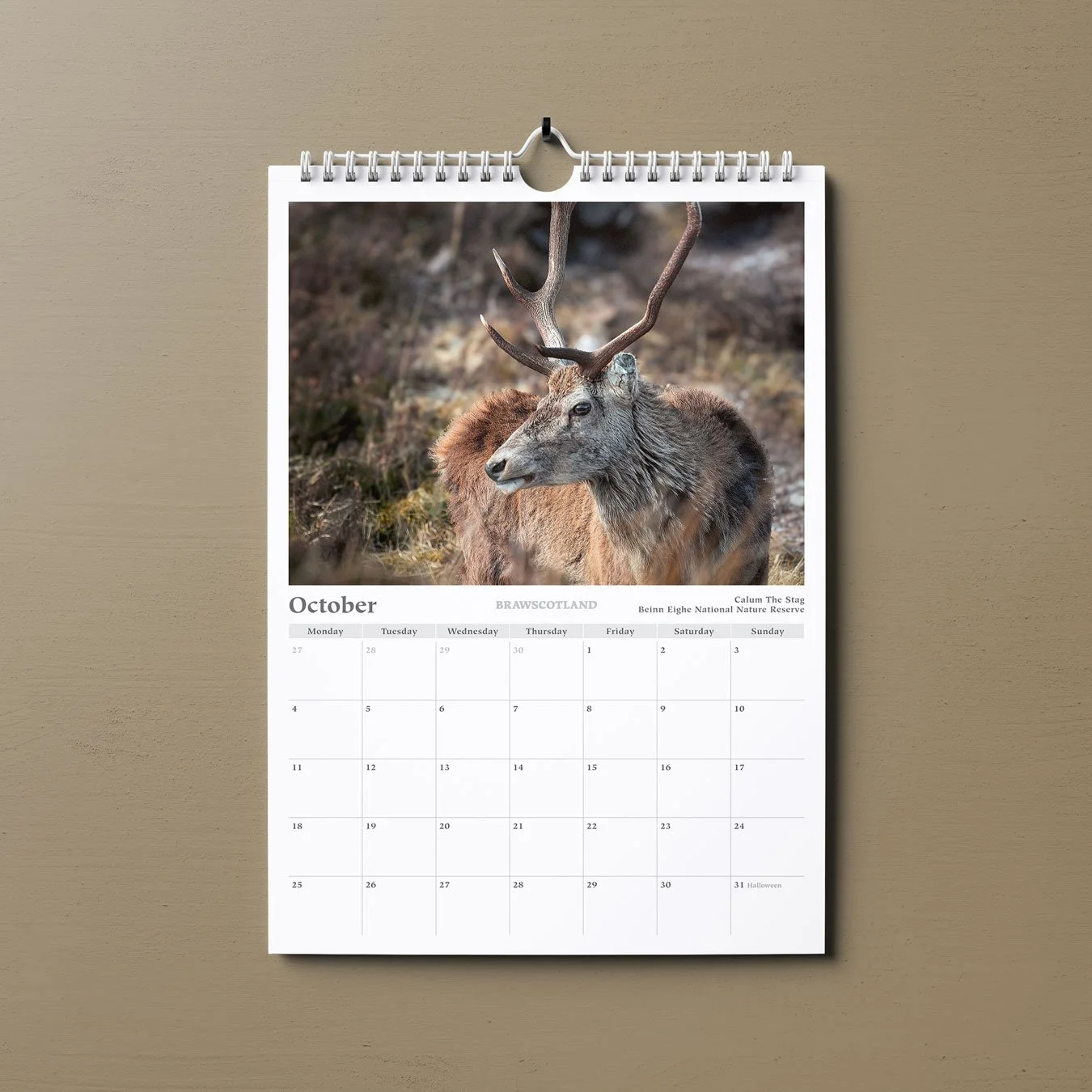 brawscotland-calendar-2027-callum-stag.jpg