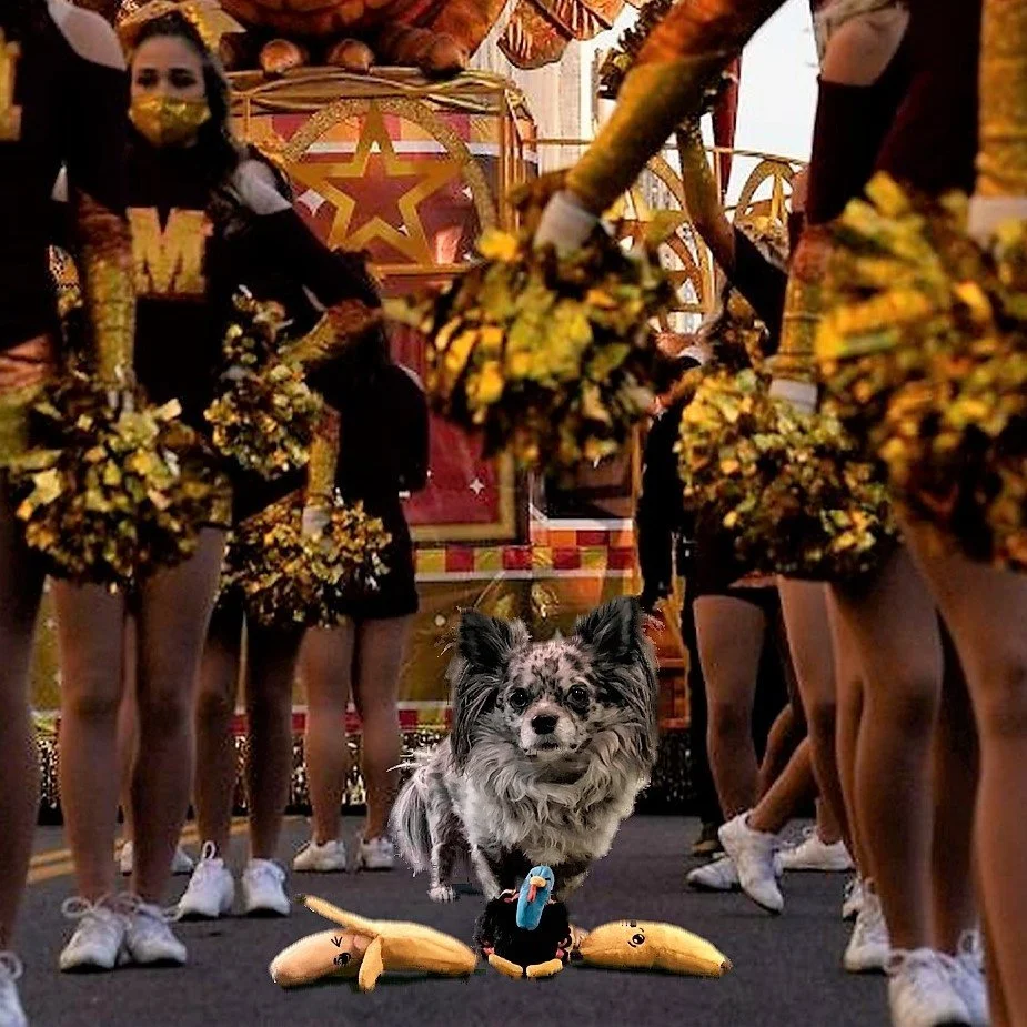 MacysParade21BananaSQ.jpg