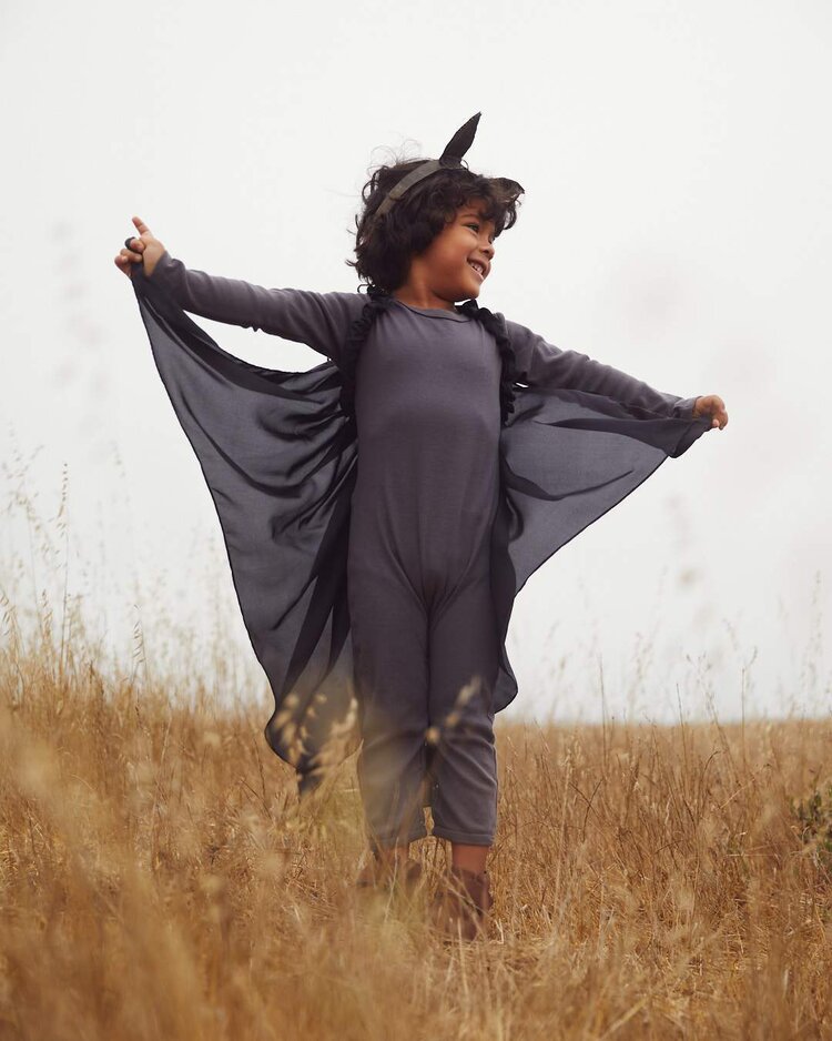 bat wings.jpeg