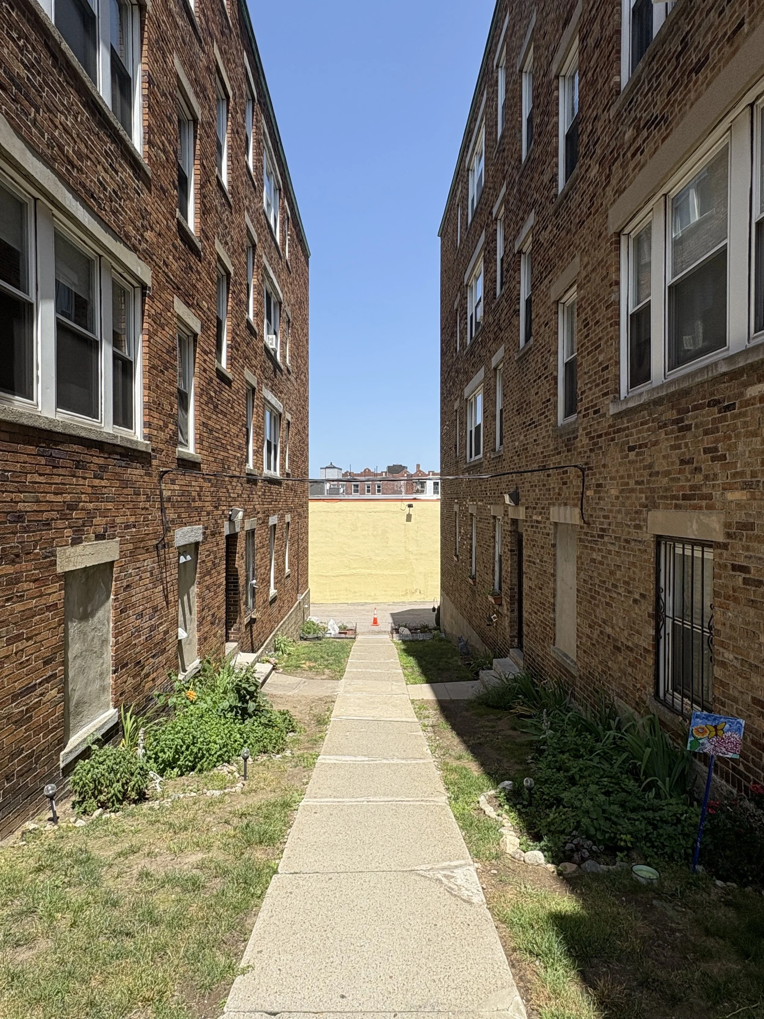 Urban Alley Garden | Unsanctioned