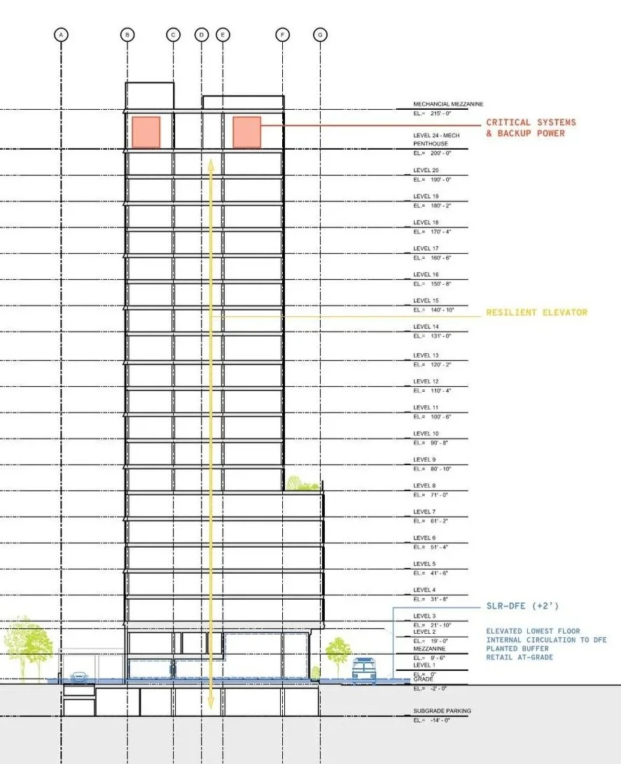 Conceptual Section | Multifamily | Designer | RODE