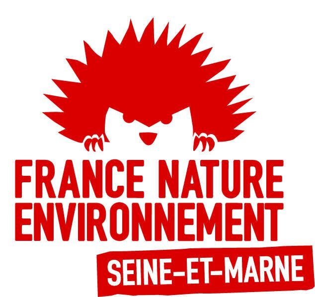 logo-FNE-77.jpg