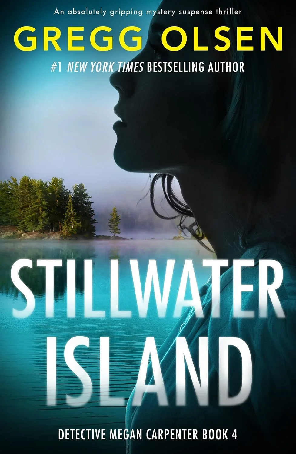Stillwater Island - Book #4