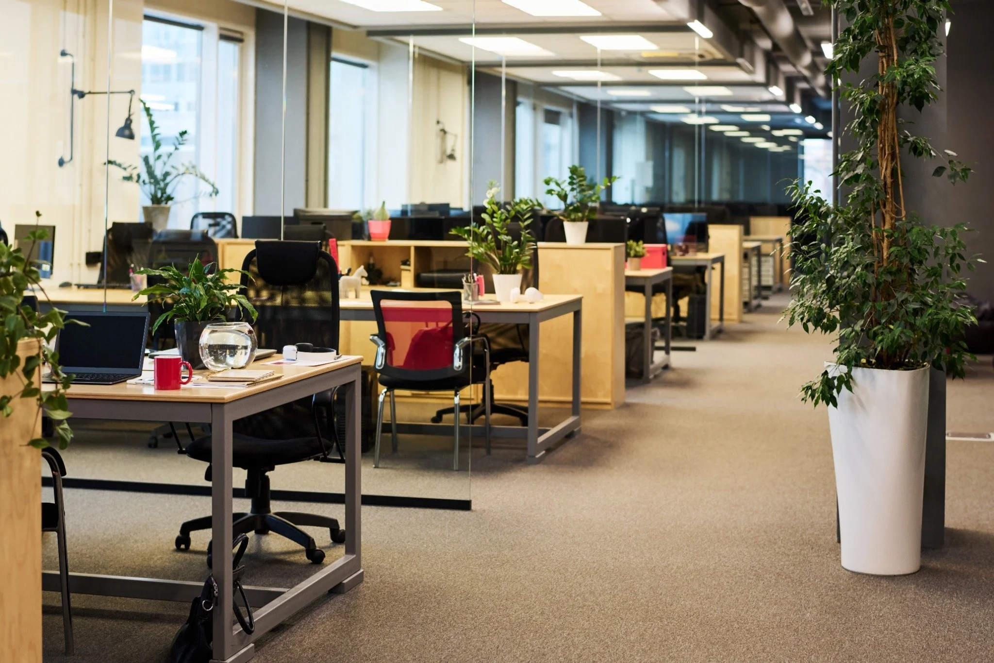 Commercial office design services creating a modern and productive workspace interior