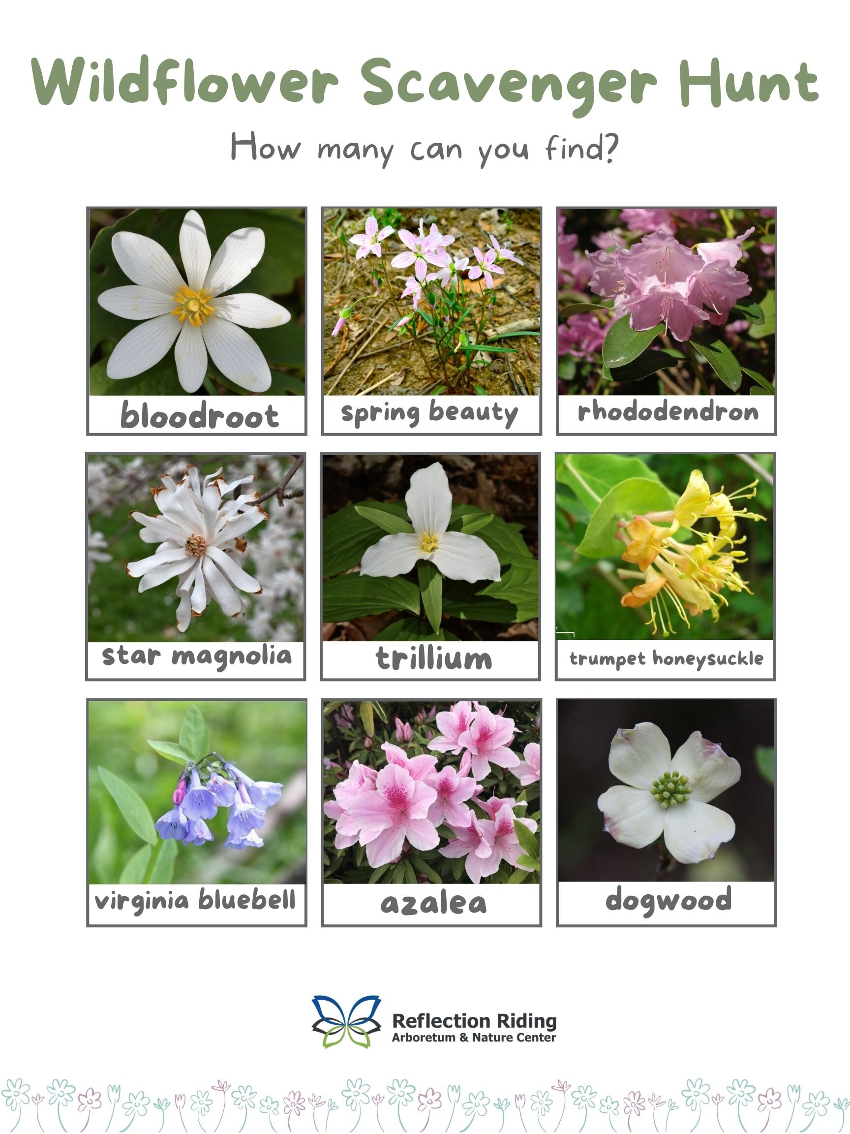 Spring Wildflower Scavenger Hunt — Tennessee State Parks