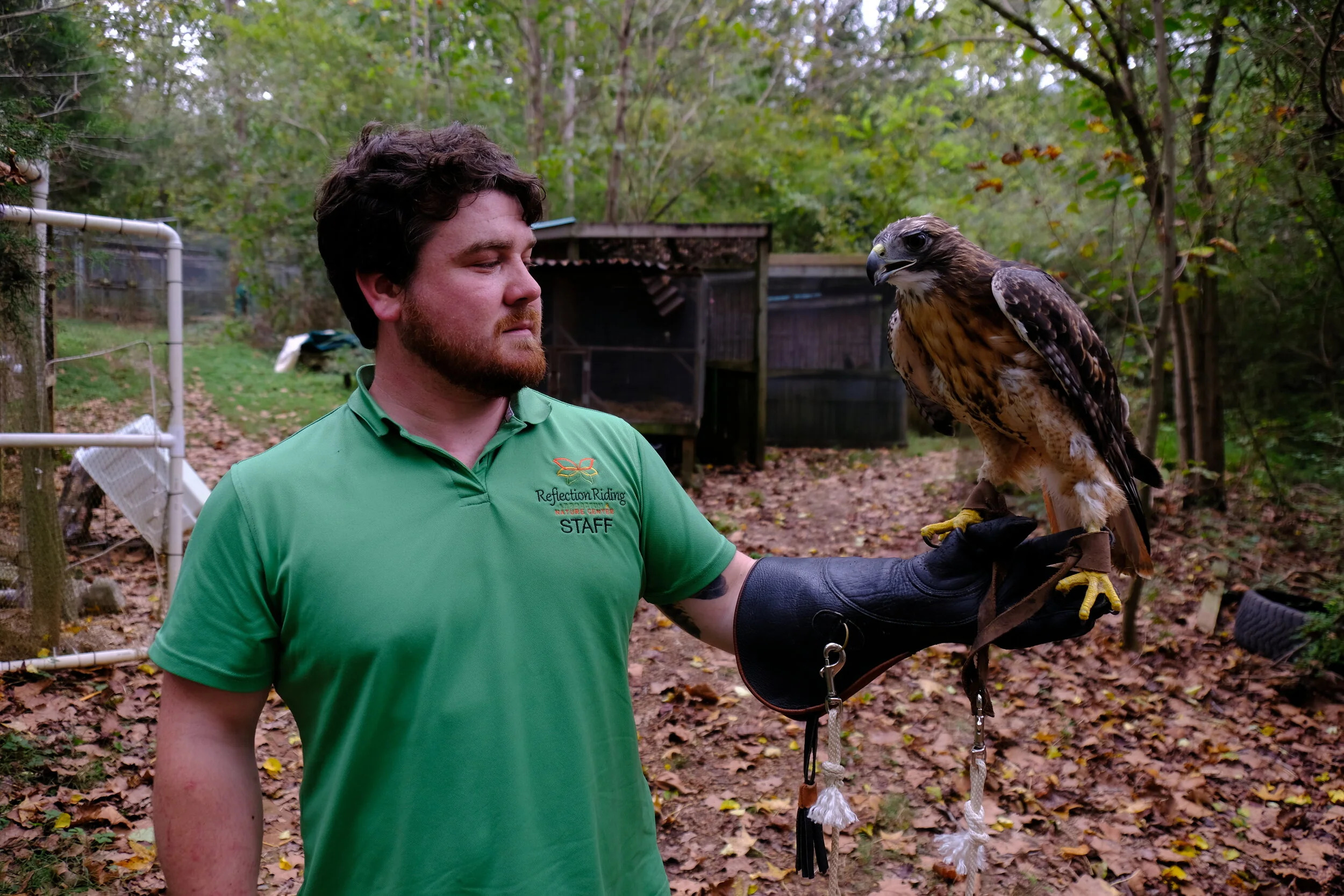 Interactive Raptor Workshop — Reflection Riding | Chattanooga nature ...