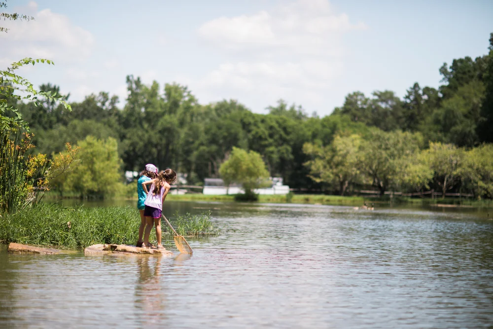 About 2 — Reflection Riding | Chattanooga nature center, native plant ...