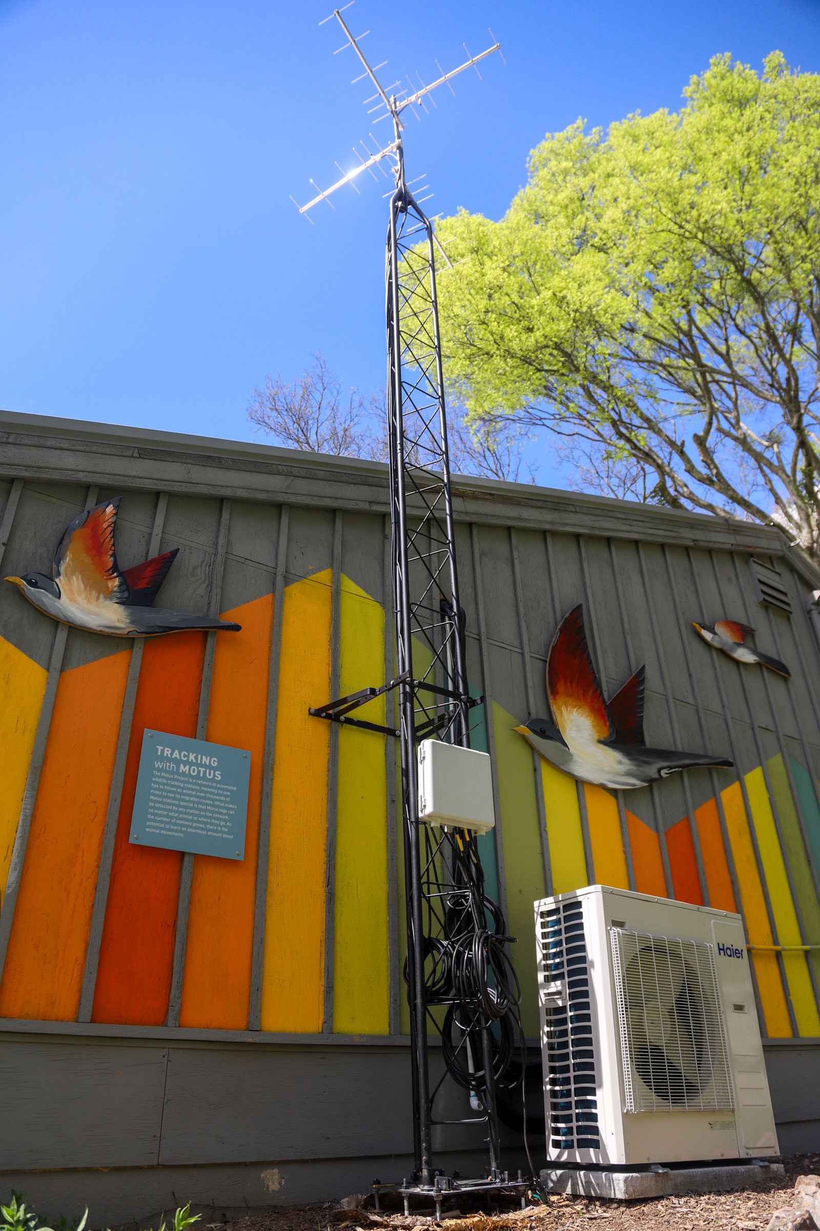  Staff photo by Olivia Ross  / Reflection Riding Arboretum and Nature Center unveiled their mural "Reflection Flyaway" on April 7, 2022. The mural, done by UTC student artists, was created to better incorporate the MOTUS tracking system in with the b