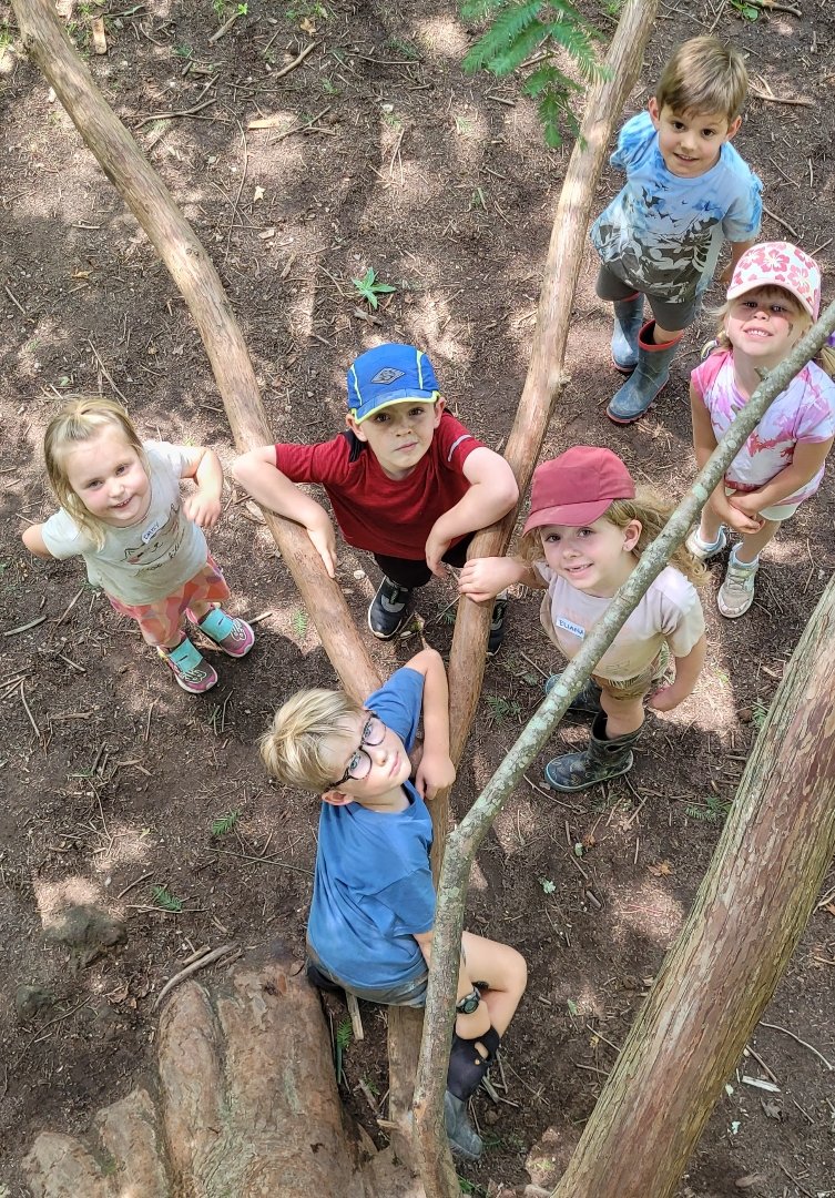 summer camp climbing trees 2 .jpeg