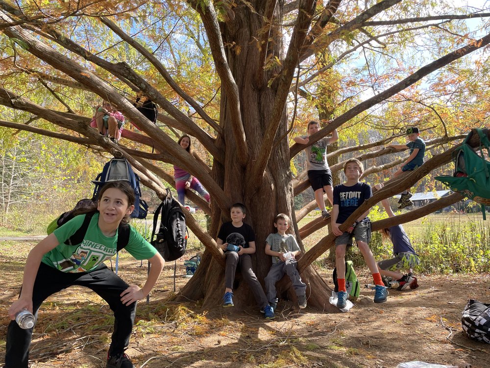 FHS afternoon kids in tree smiling.JPG