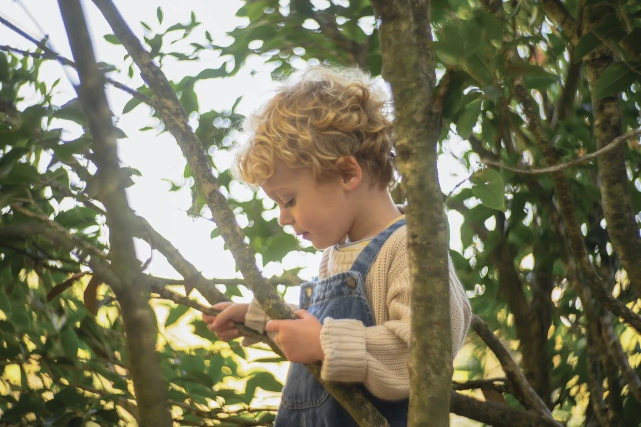 Native Plants: Pillars of Life