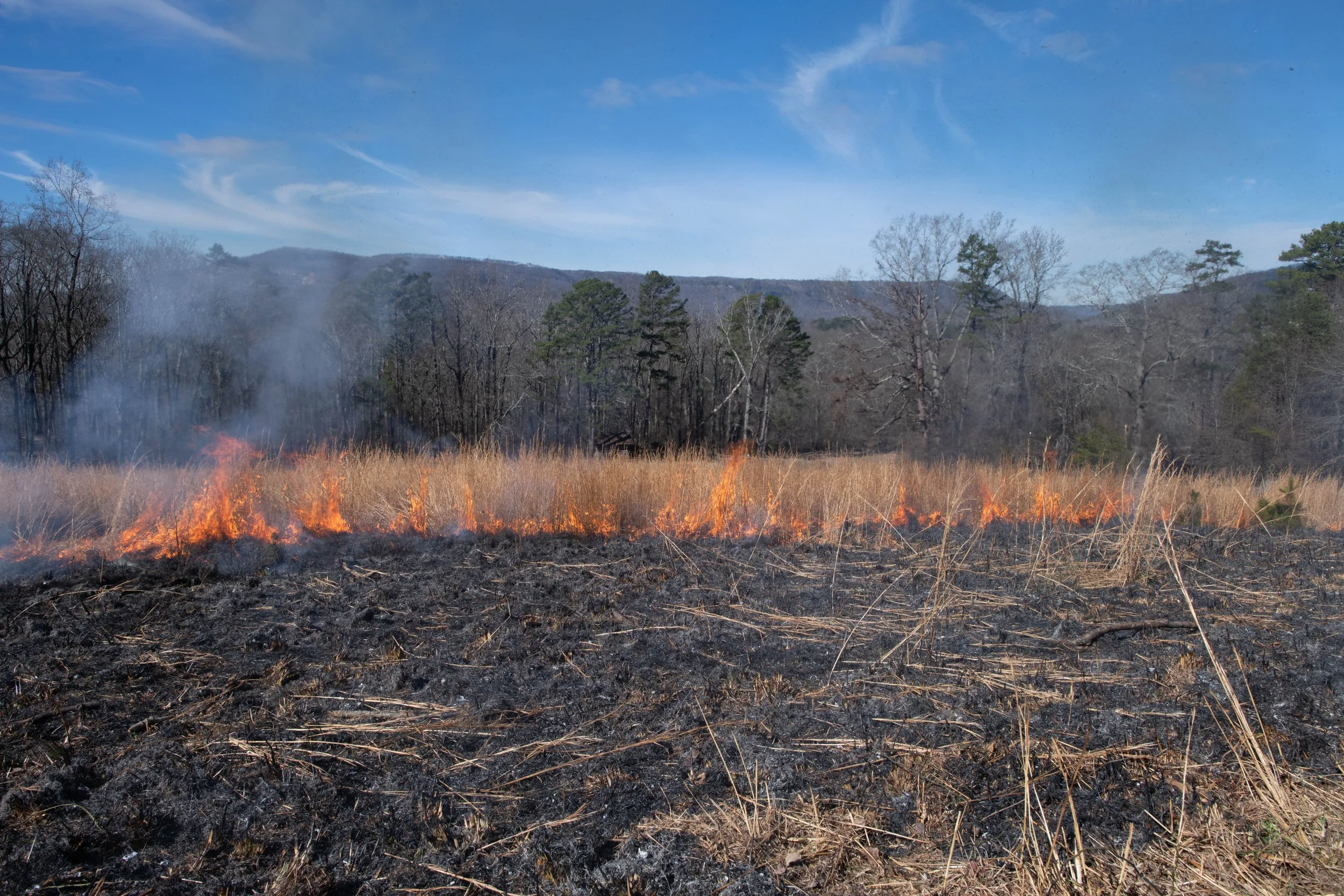 Prescribed Burn at Sheets Sward