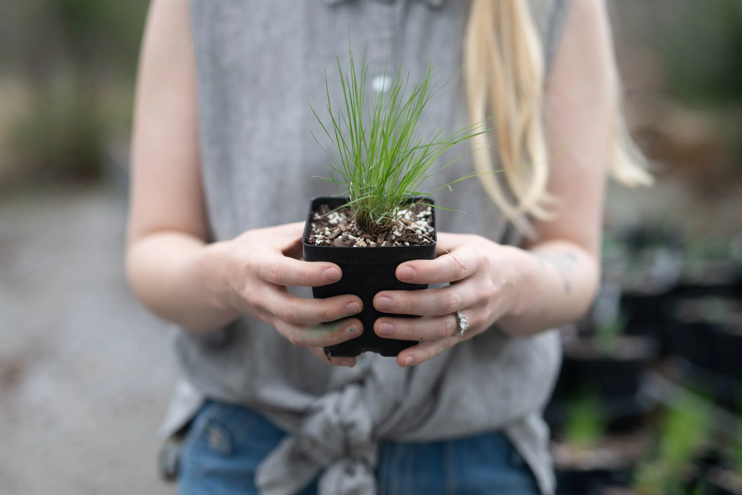 Nursery Workshop: Propagation Intensive