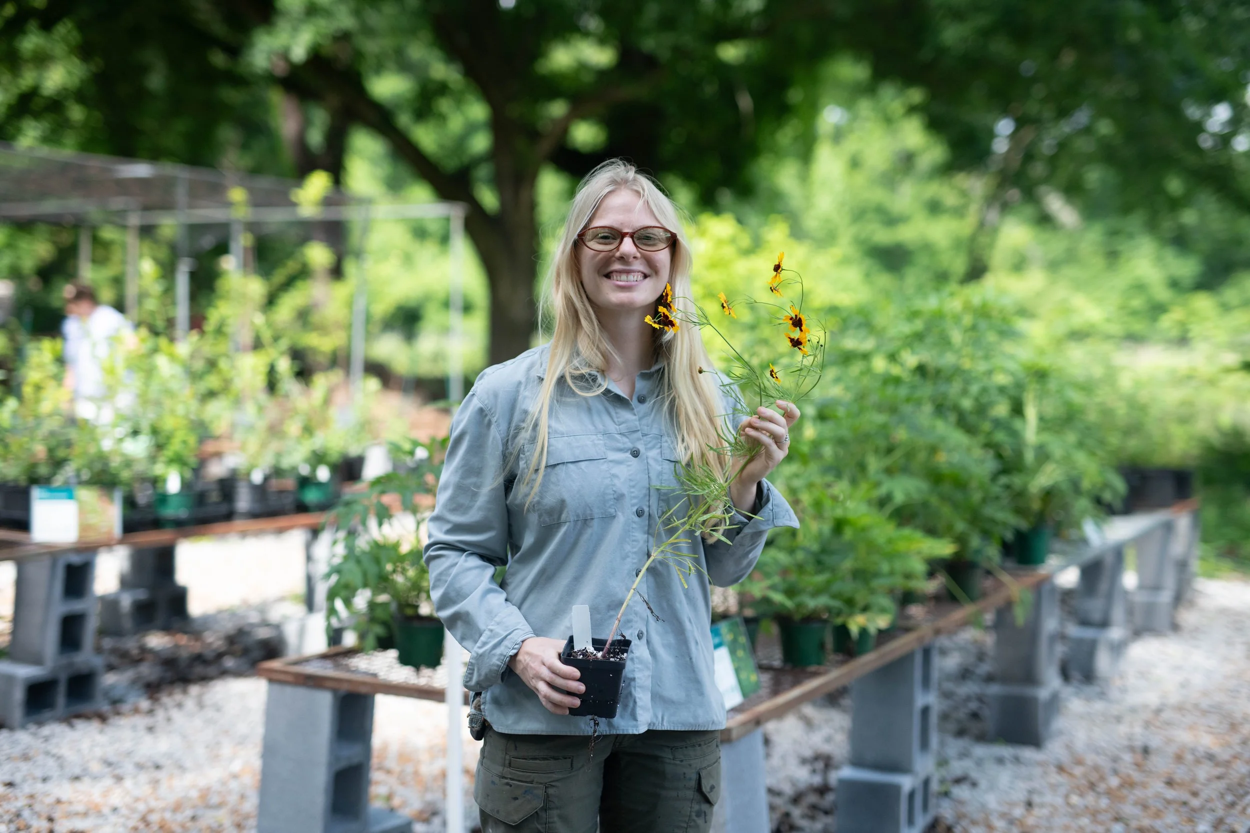 Wild Ones Plant Sale