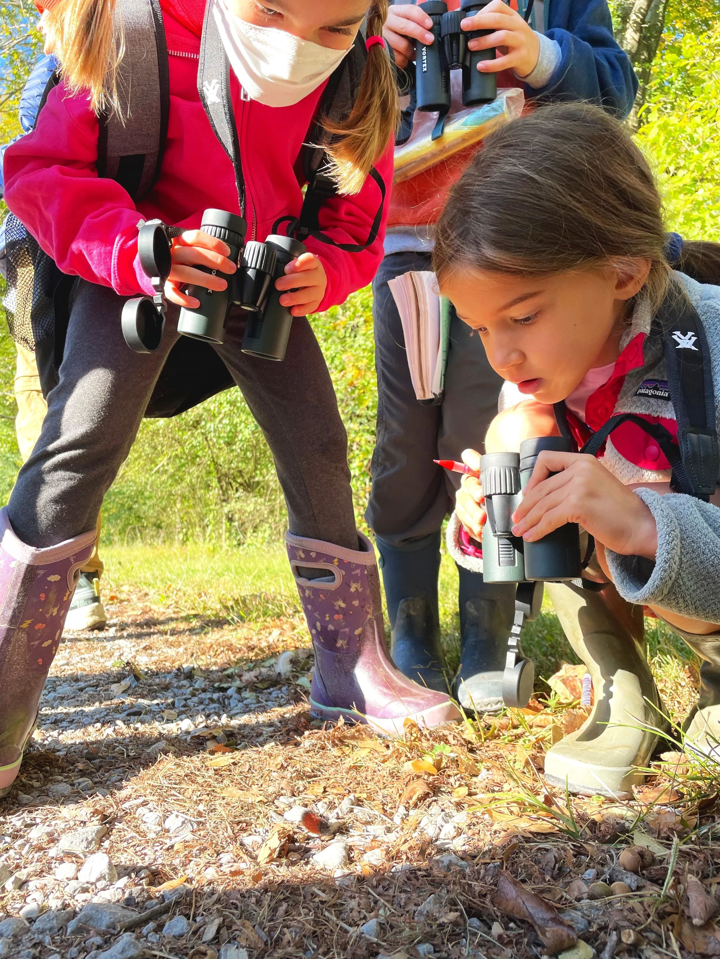Teaching Forest Homeschool — Reflection Riding Chattanooga nature
