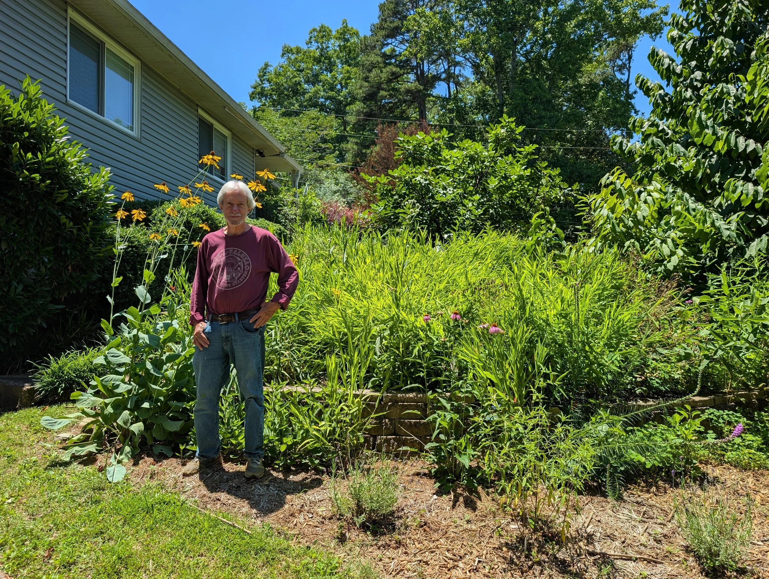 Garden Story: David Riall