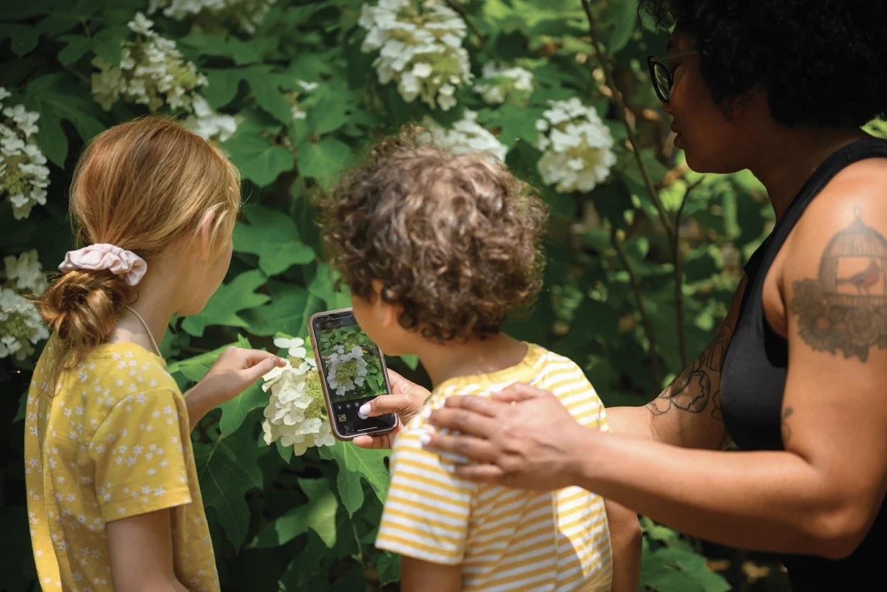 Fostering Connection, Increasing Access