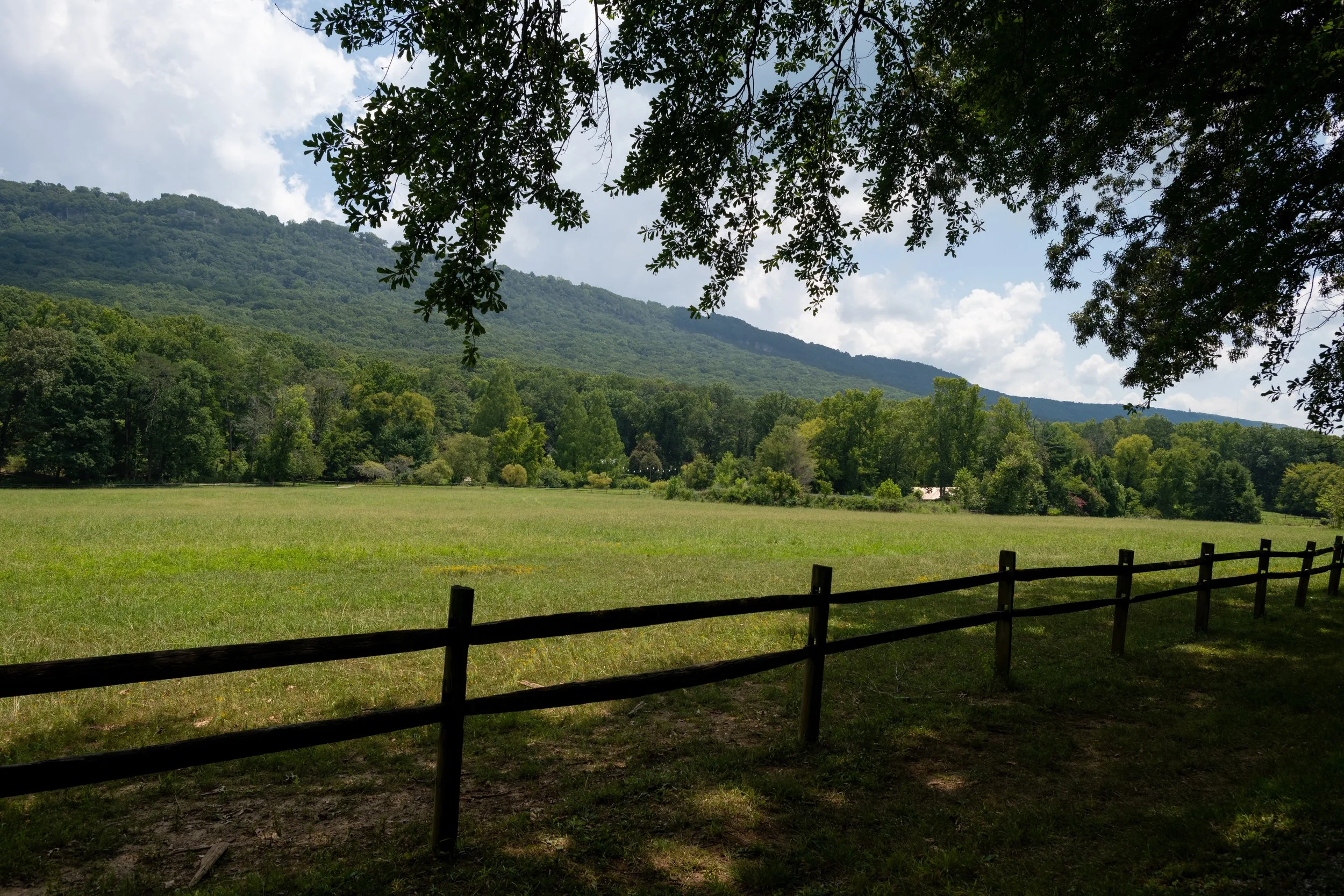 Spirits and Sustainability with Green|Spaces