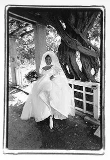 bridetree1.jpg