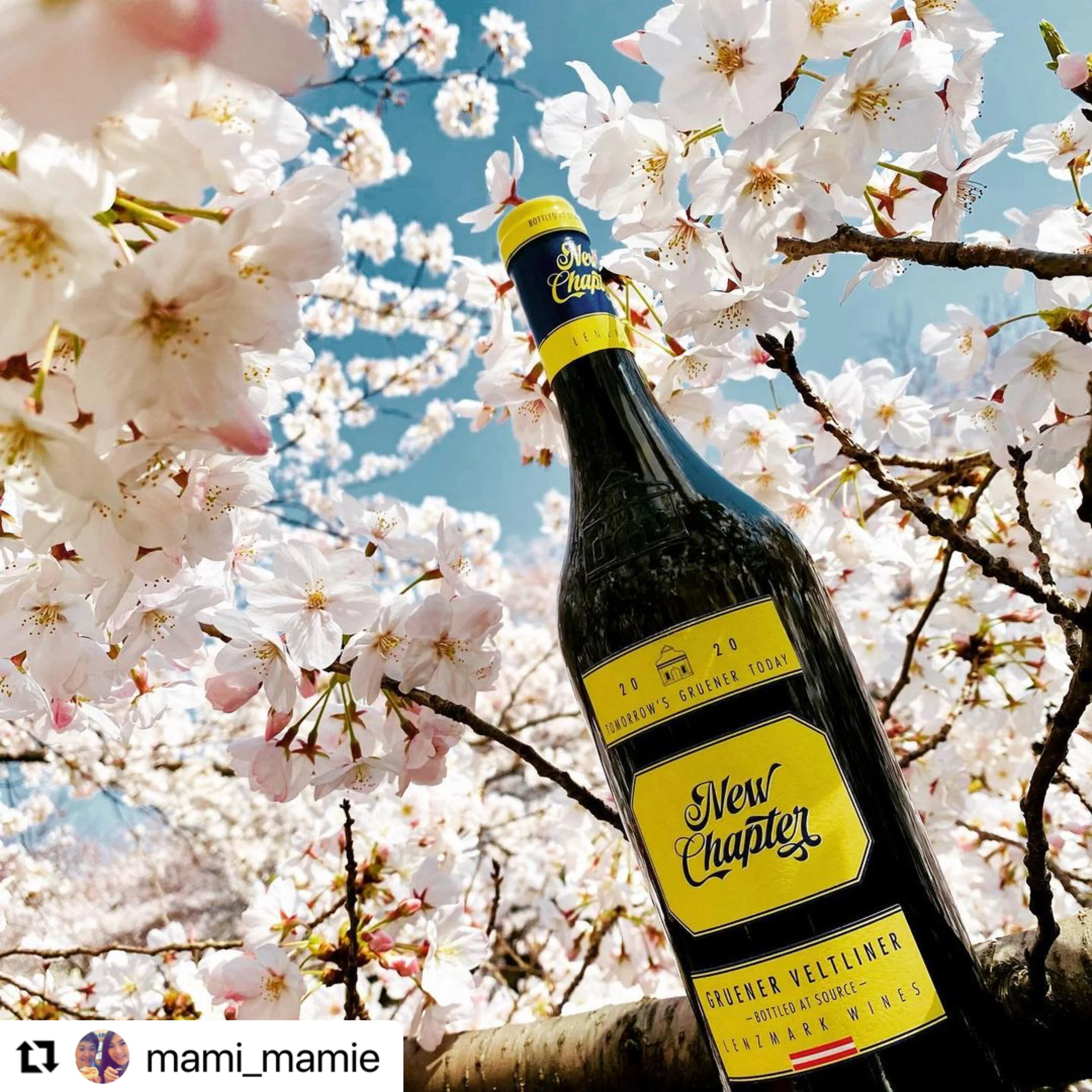 New Chapter arrived in Tokyo 