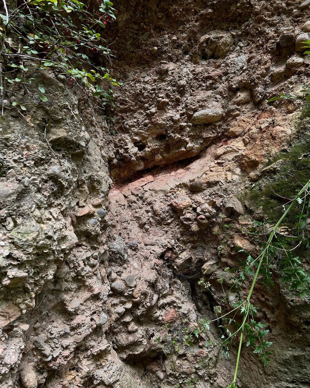 Soil composition in Traisental. Can you guess what it is?