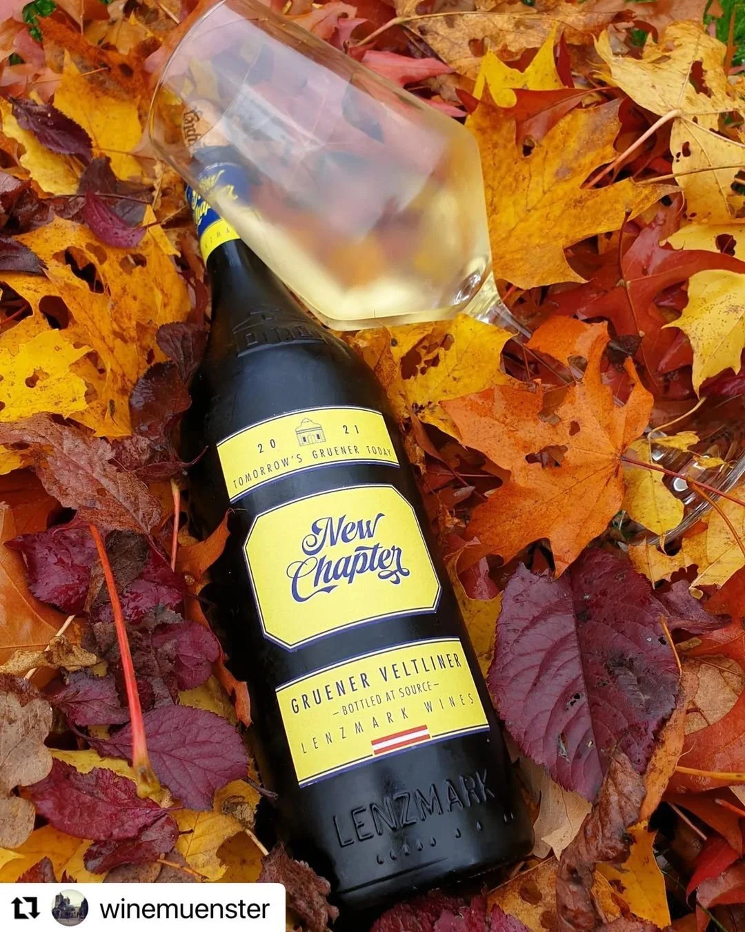 winemuensterNew Chapter 2021 Review by @