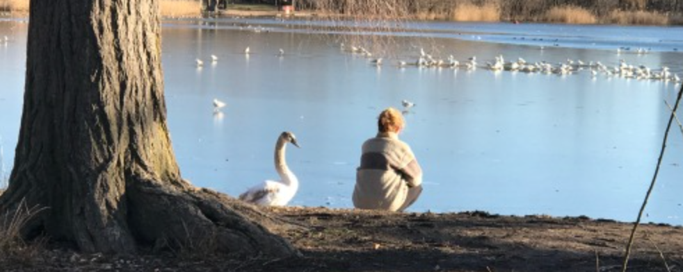 Swan Spirit Requests Meeting With Prospect Park Counseling Staff