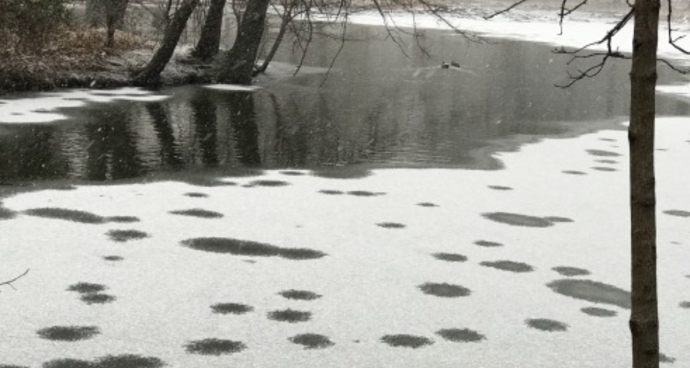 Prospect Park’s Ice Fairies Are Back, But More Elusive Than Ever