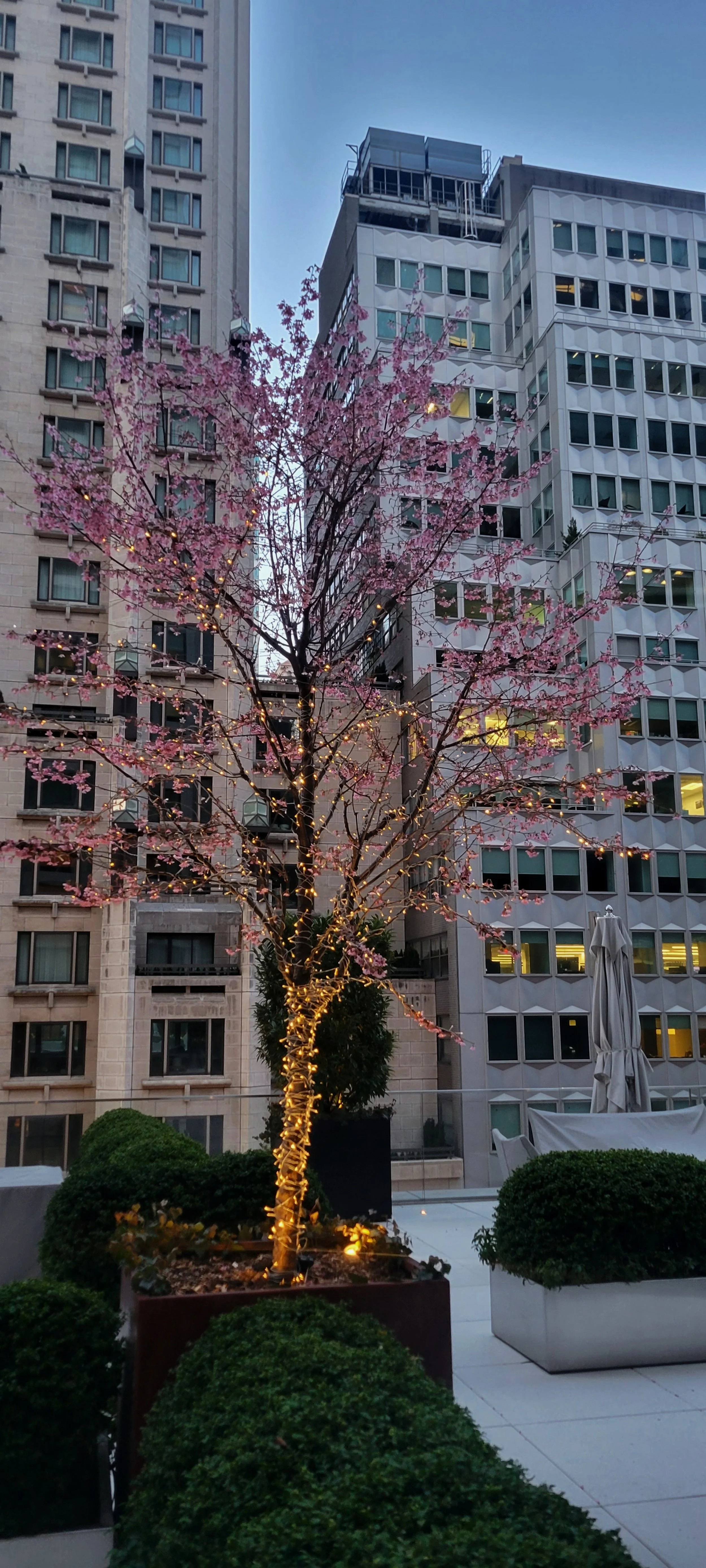 432-park-avenue-restaurant