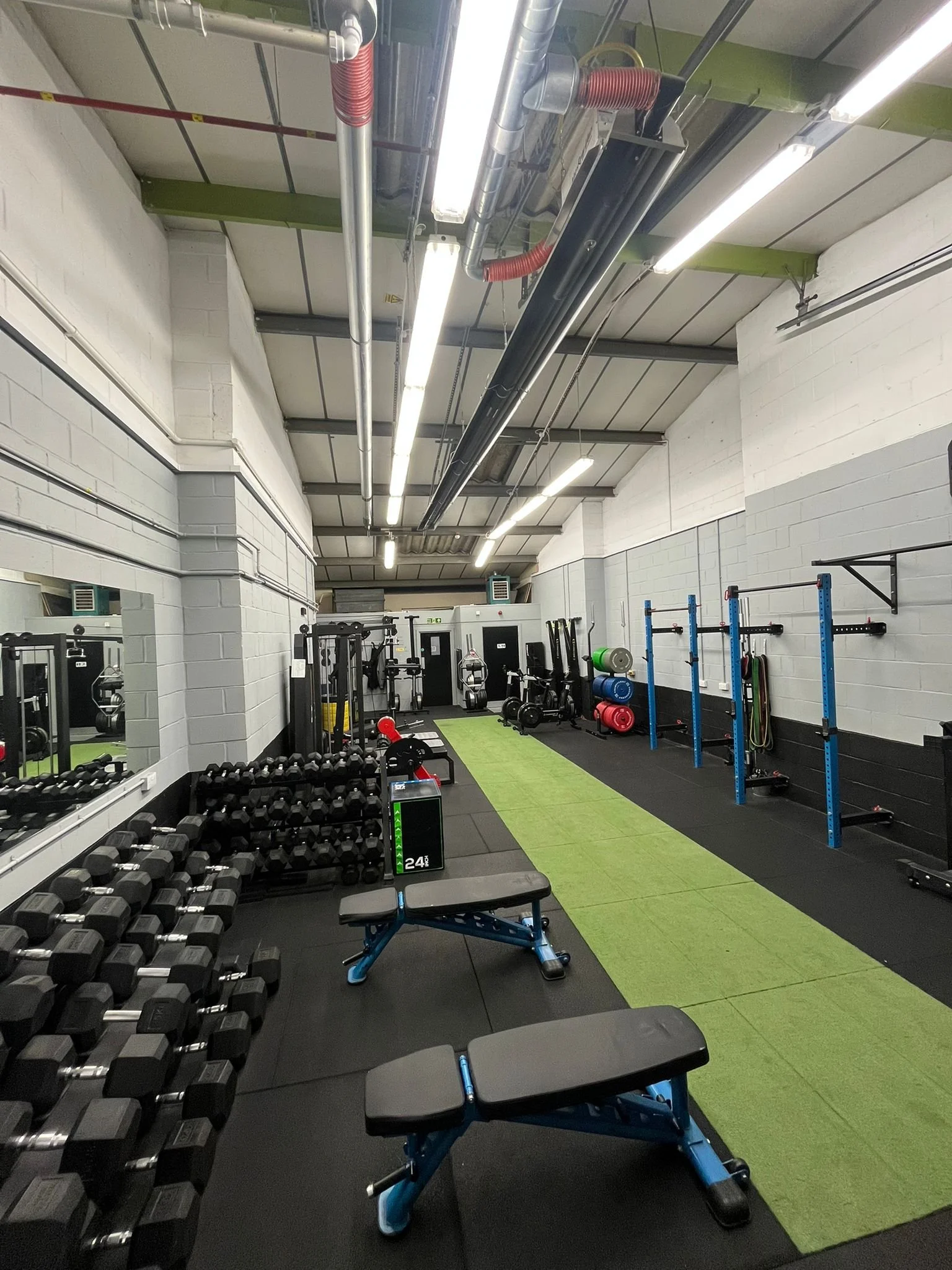 Level Up Gym.jpg