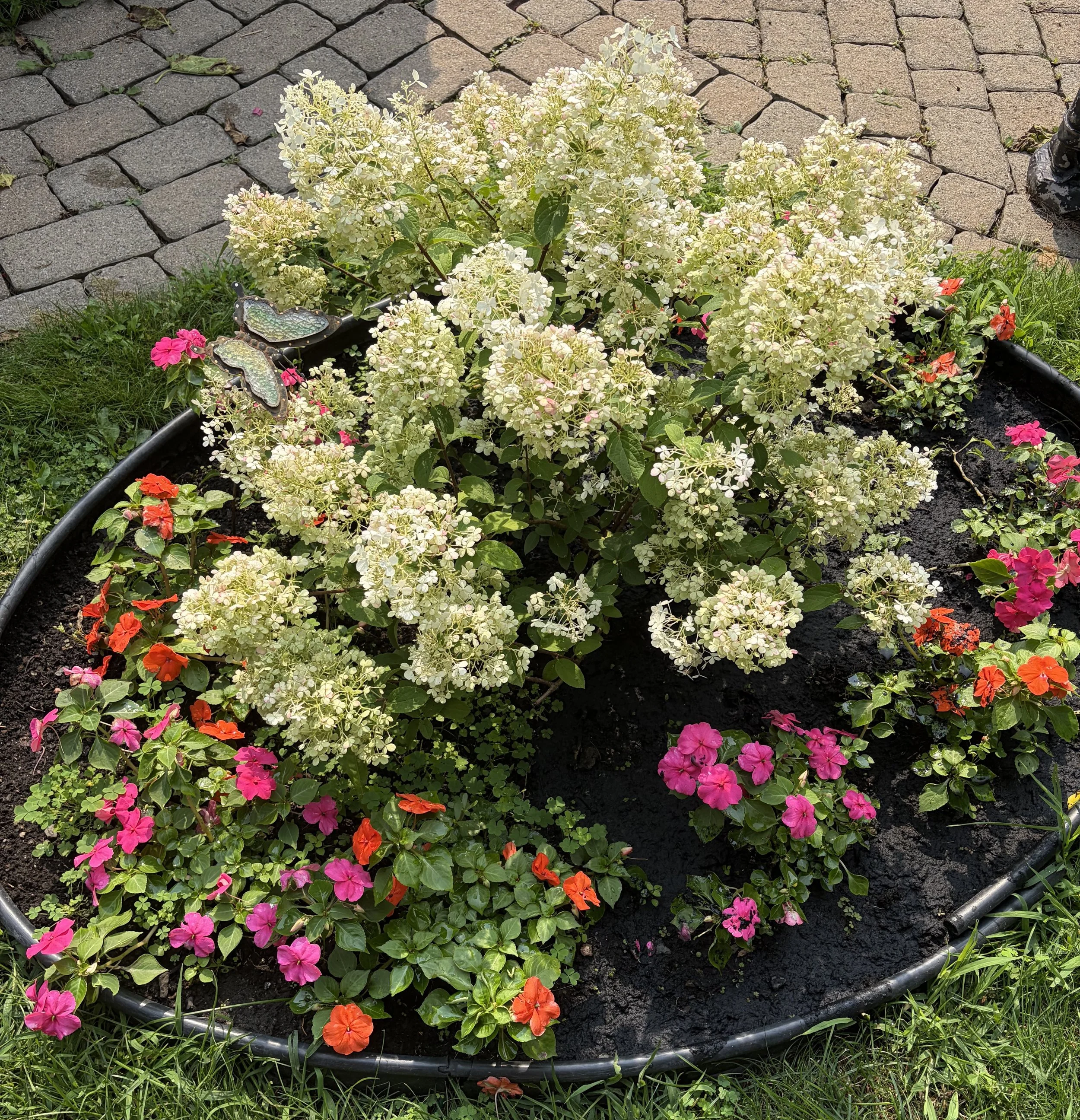 Flowerbed showing weeds in the half that wasn't treated with Liquid Mulch for Landscaping and half with Liquid Mulch having no weeds. Picture taken two weeks after treatment with Liquid Mulch.