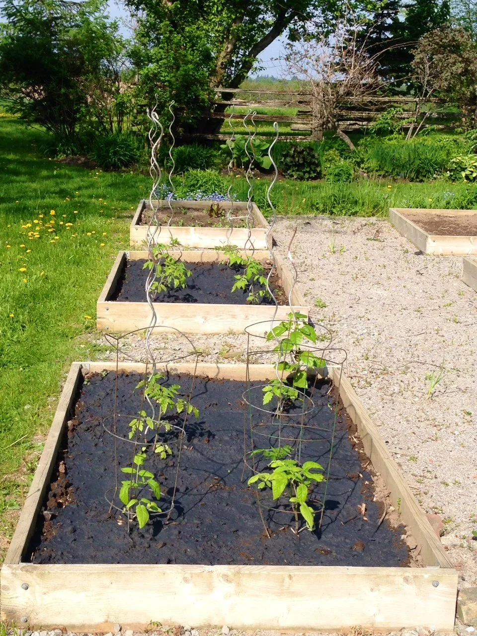 Bruno Garden LM2.jpg