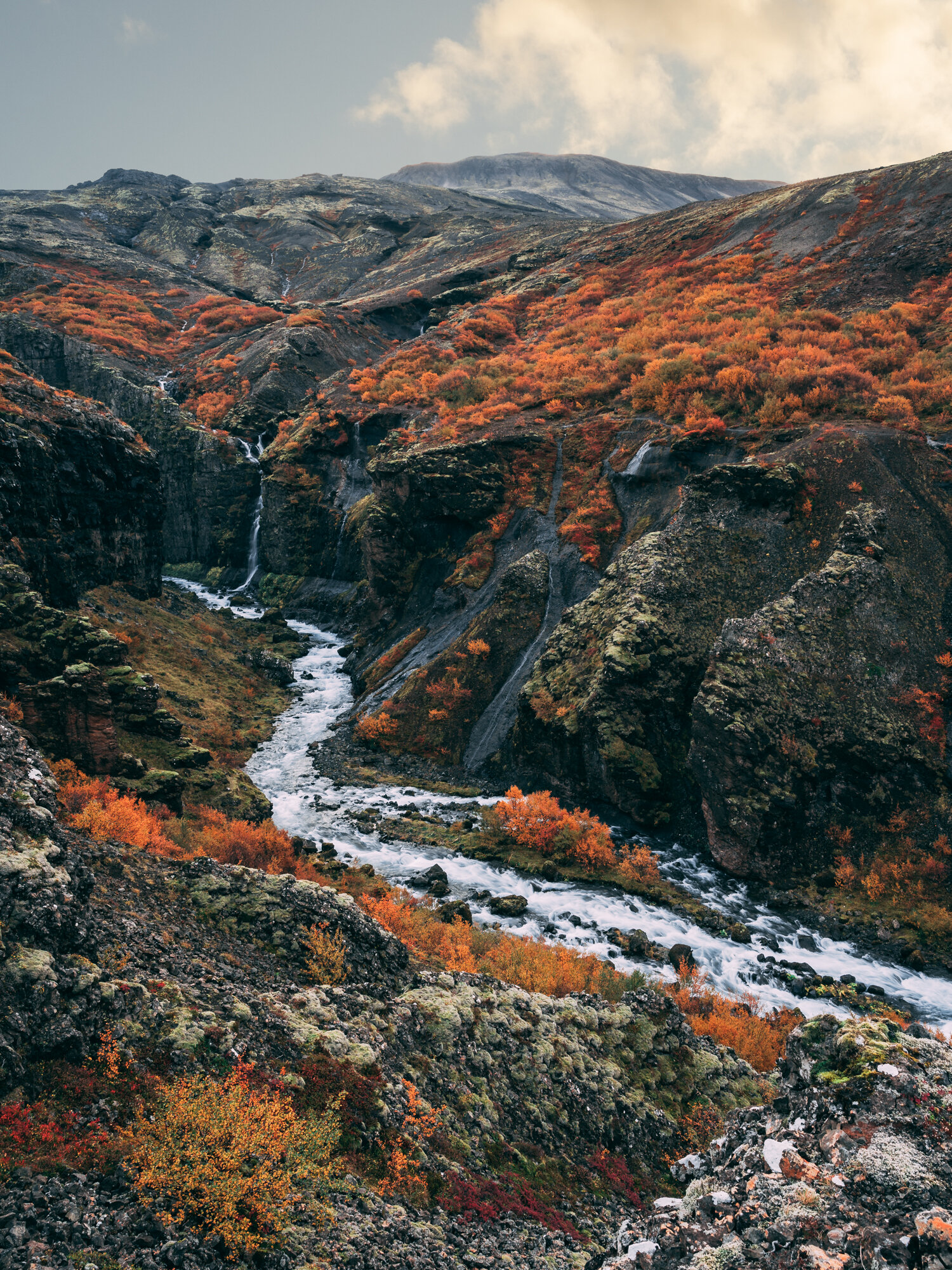 Glymur Valley.jpg