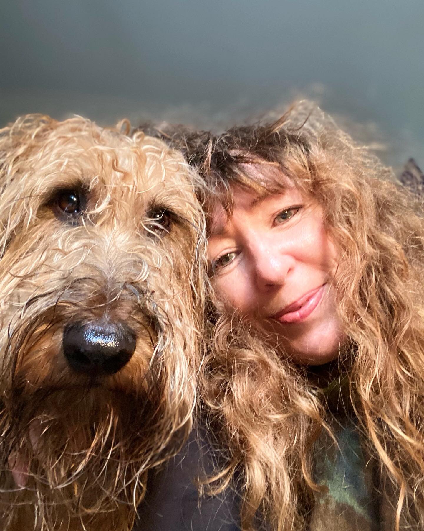 What is it they say about dogs and their owners? 🫣🤣We are having a bad hair day!😆🤣🥰❤️❤️