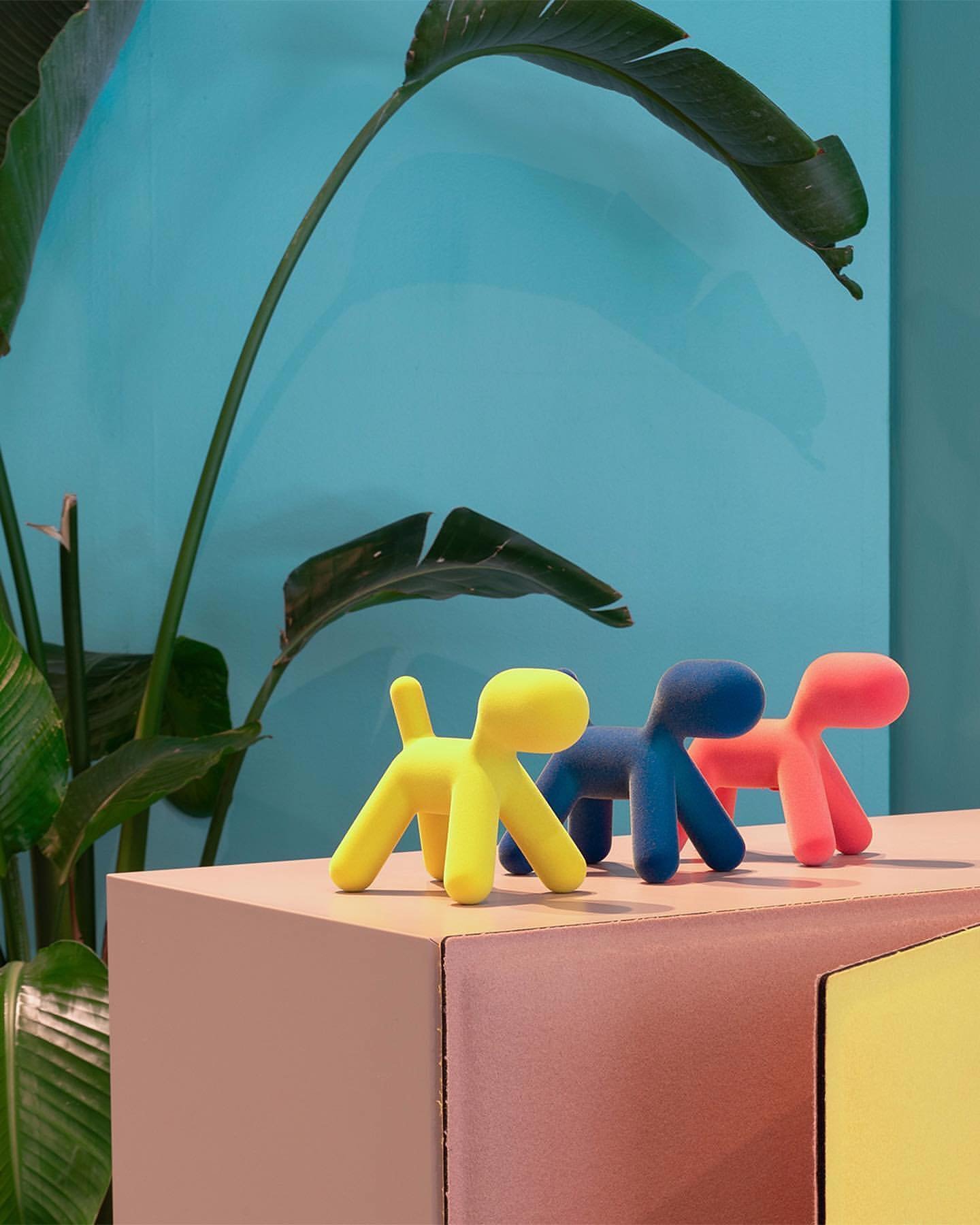 After the success of Puppy in the velvet version, this year we are launching Puppy XS in the same finish and colours.

Soft to the touch and vibrant in hue, this new version is a must-have in any design lover&rsquo;s house.

#MagisOfficial #designlov
