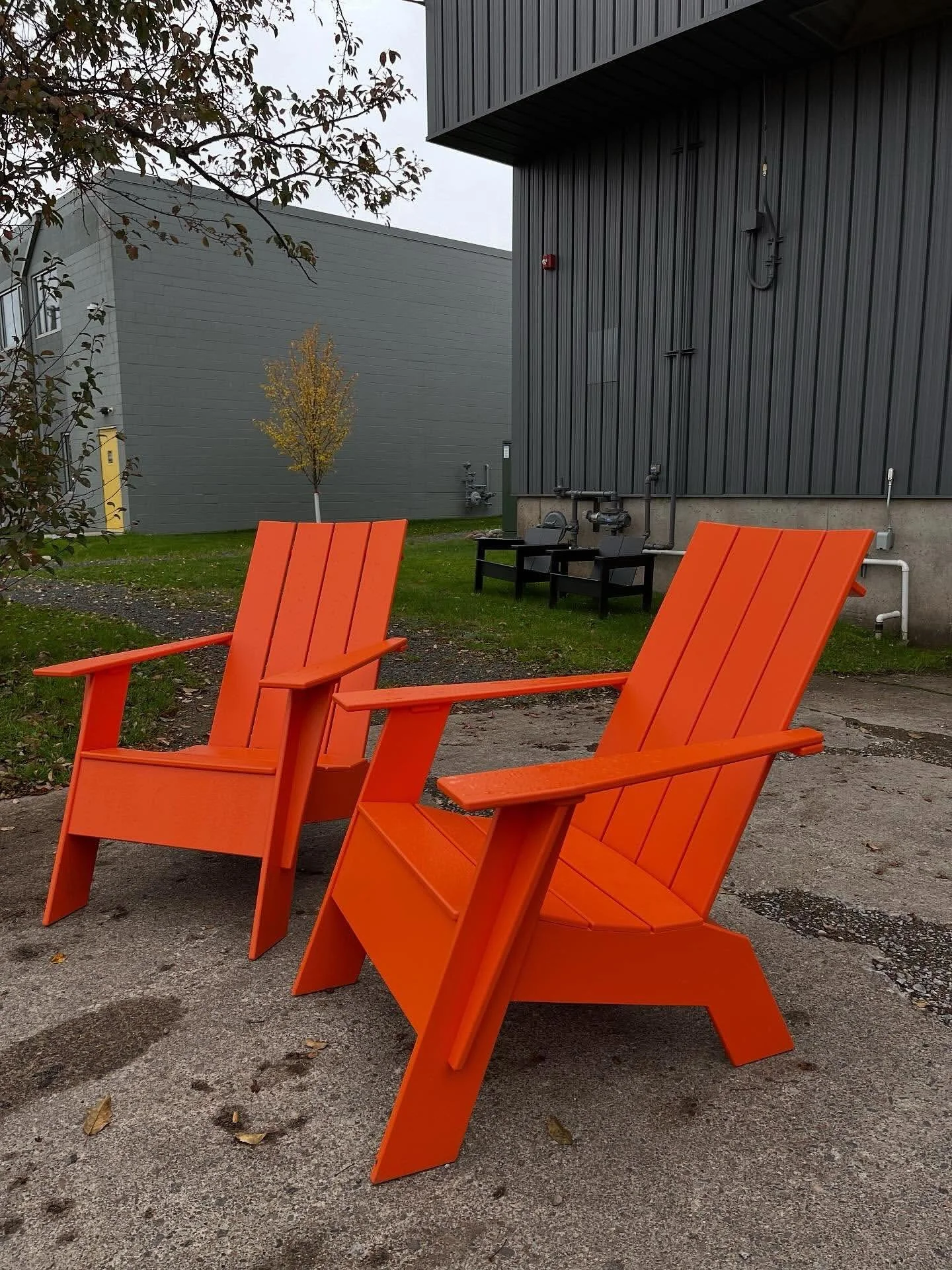 Minktobers might be our fave month of the year! 👻🎃💀