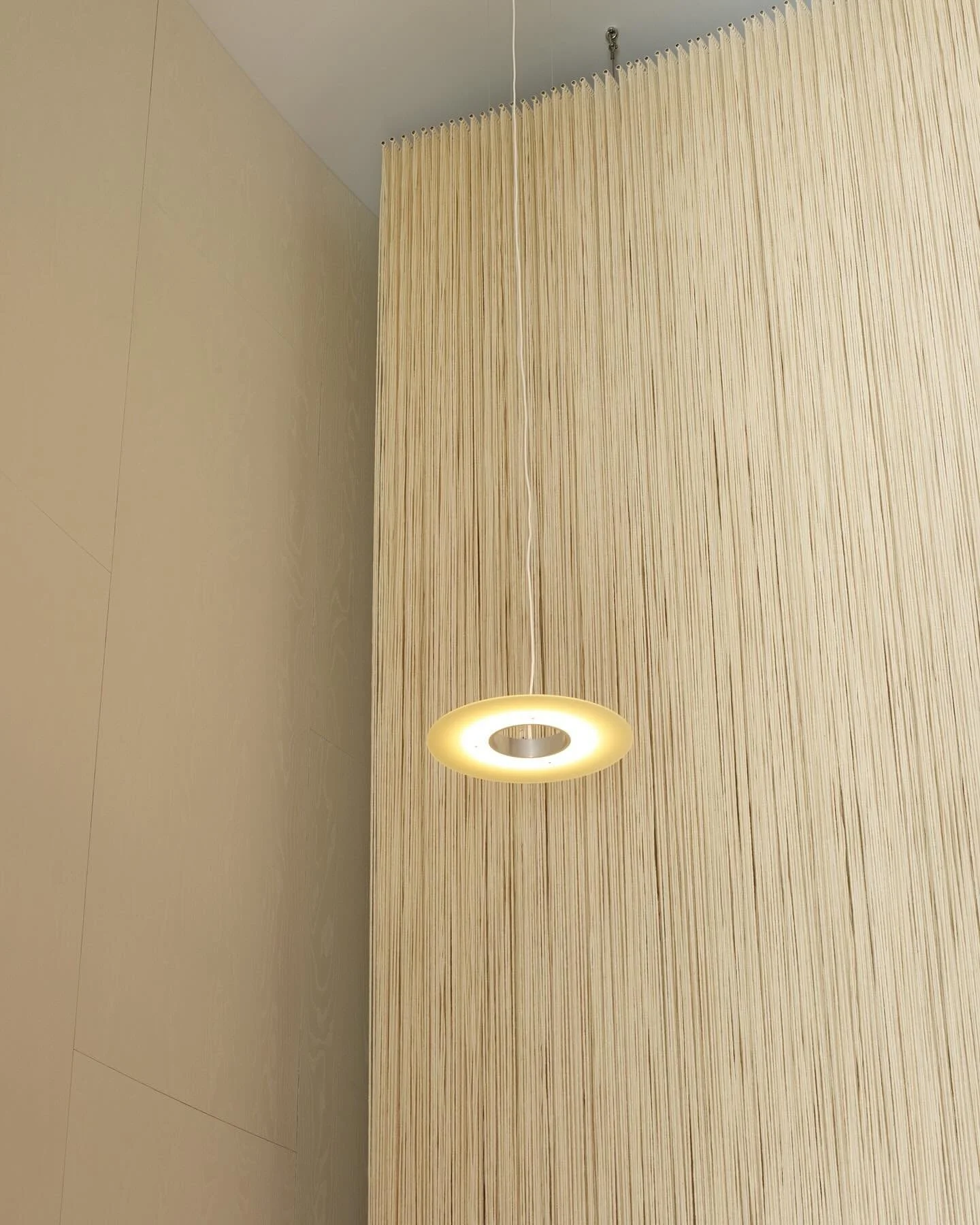 First displayed twenty years ago at the Museum Ludwig in Cologne, as part of the renowned artist Rosemarie Trockel&rsquo;s retrospective exhibition, &ldquo;Yes but&rdquo; is an immersive artwork crafted from suspended heavy wool threads supplied by K