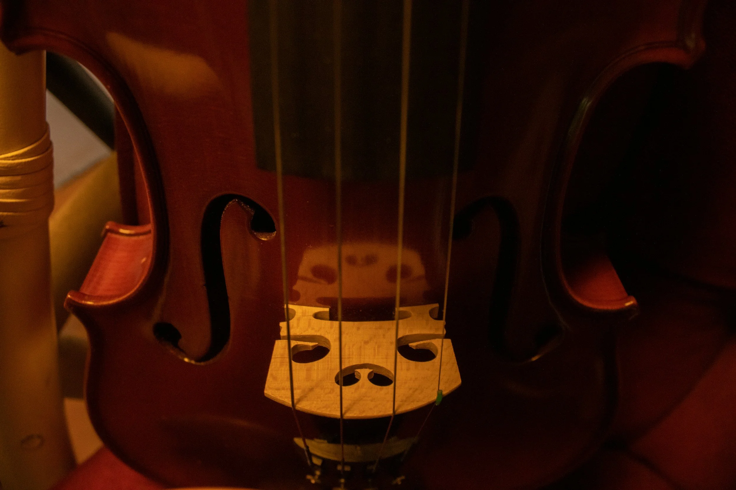 String Quartet