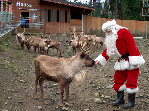 Santa-and-Reindeer.webp