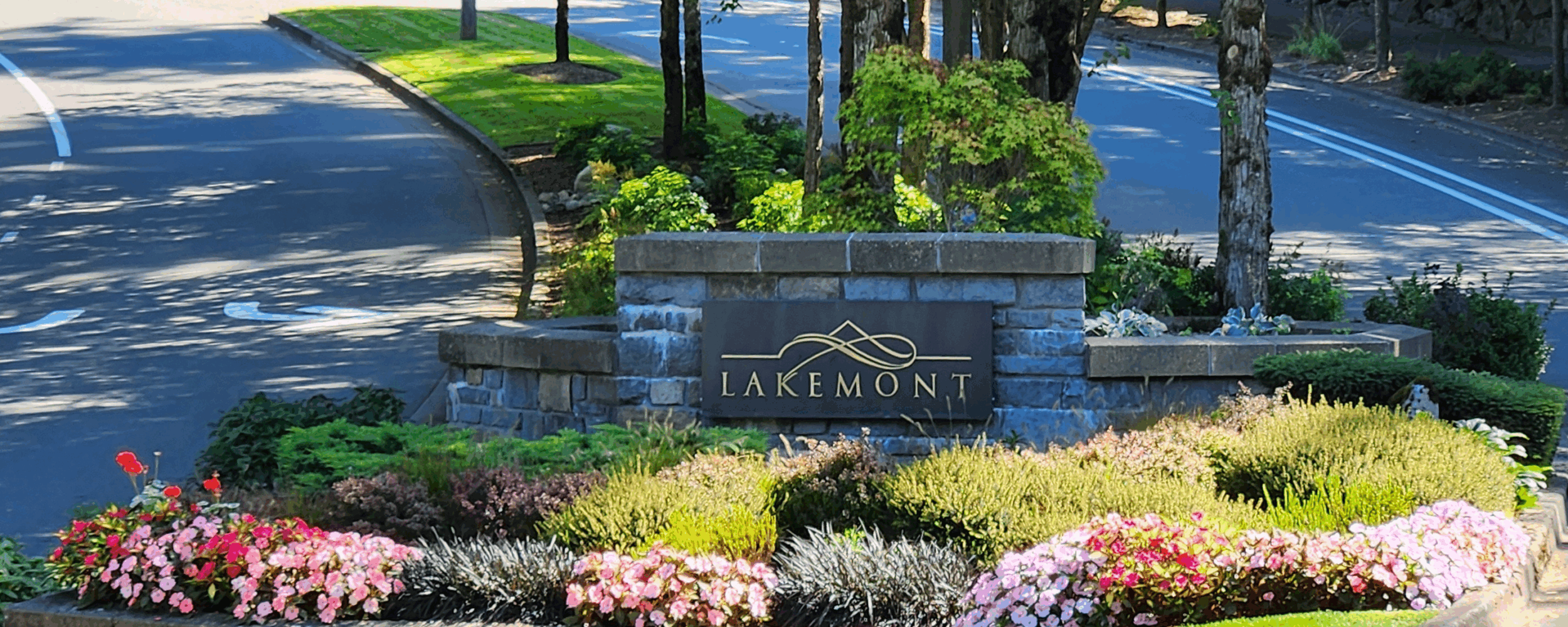 Home Security in Lakemont