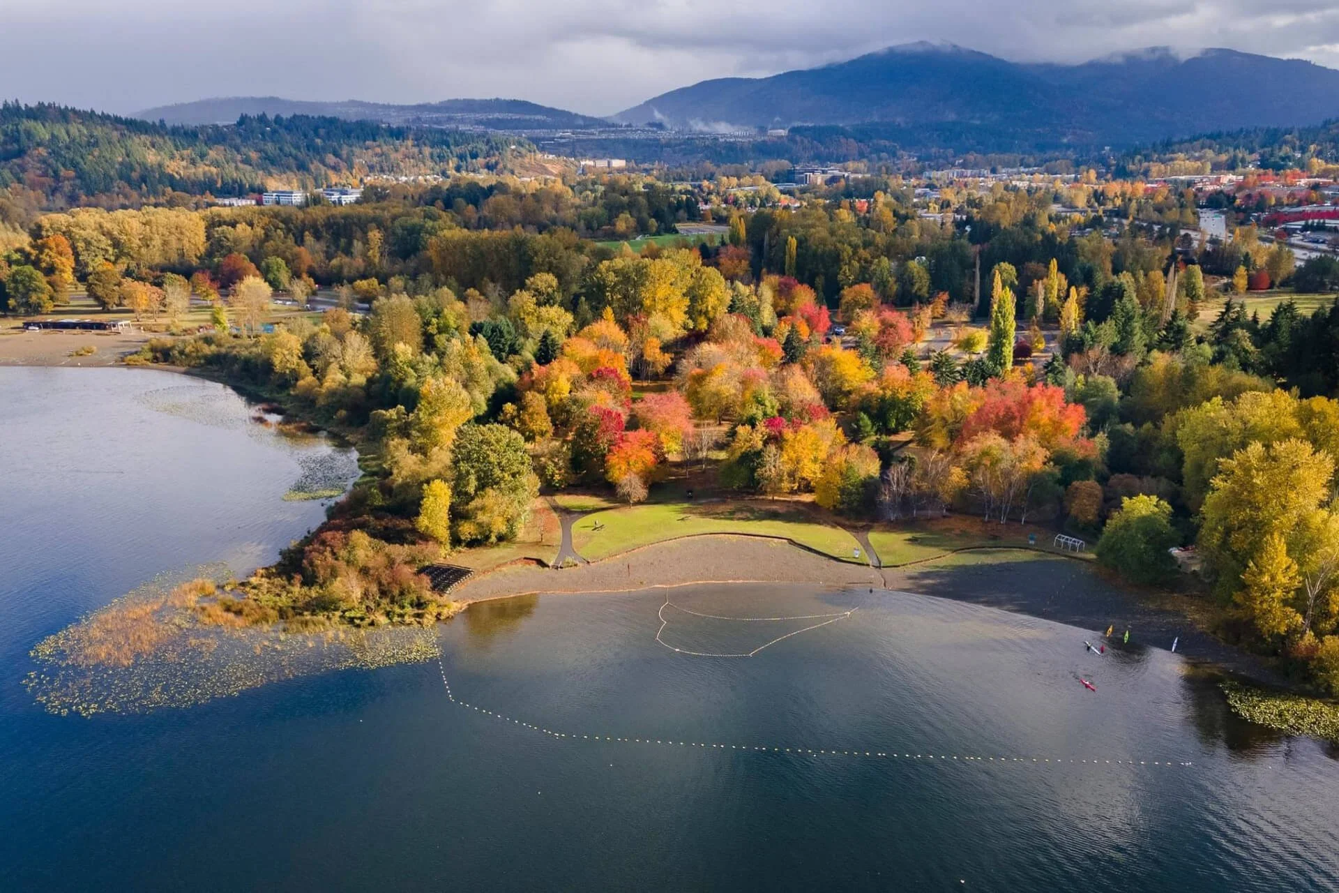 Issaquah Market Report - 3/11/26