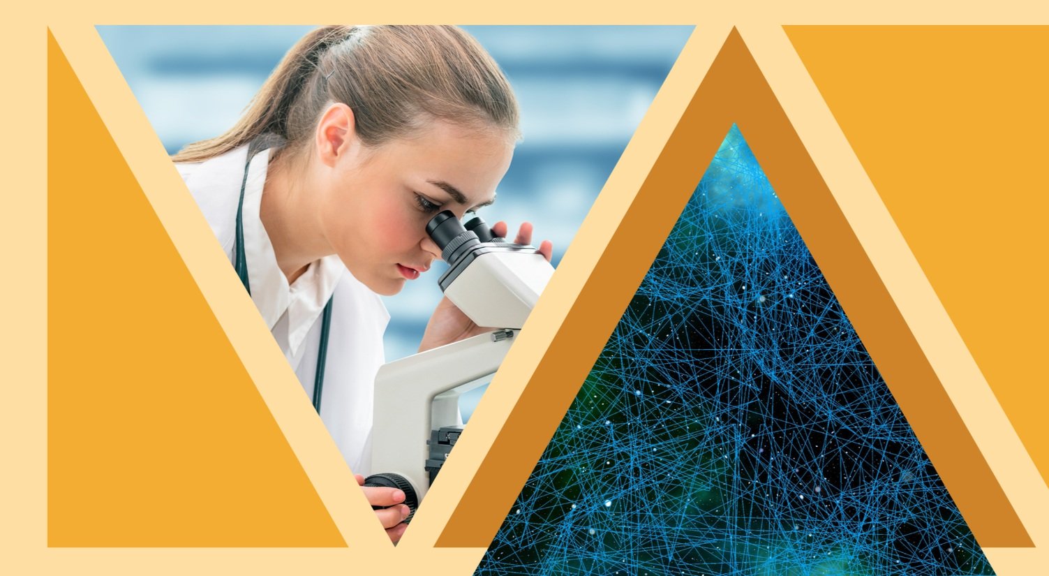 Science Program Branded Graphics — Mish Bozzetto Brands
