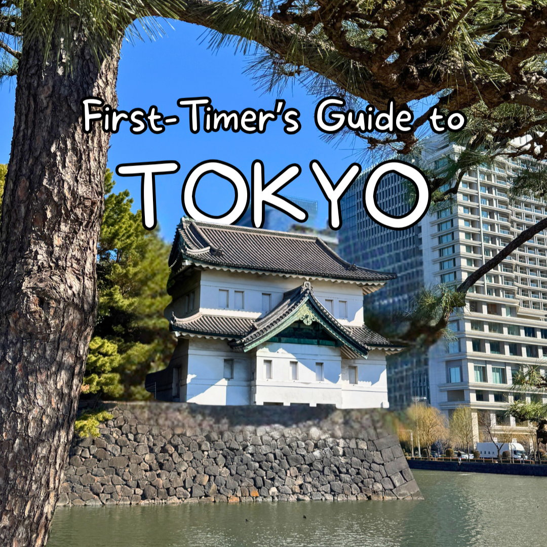 Travel Blog: Website & Social