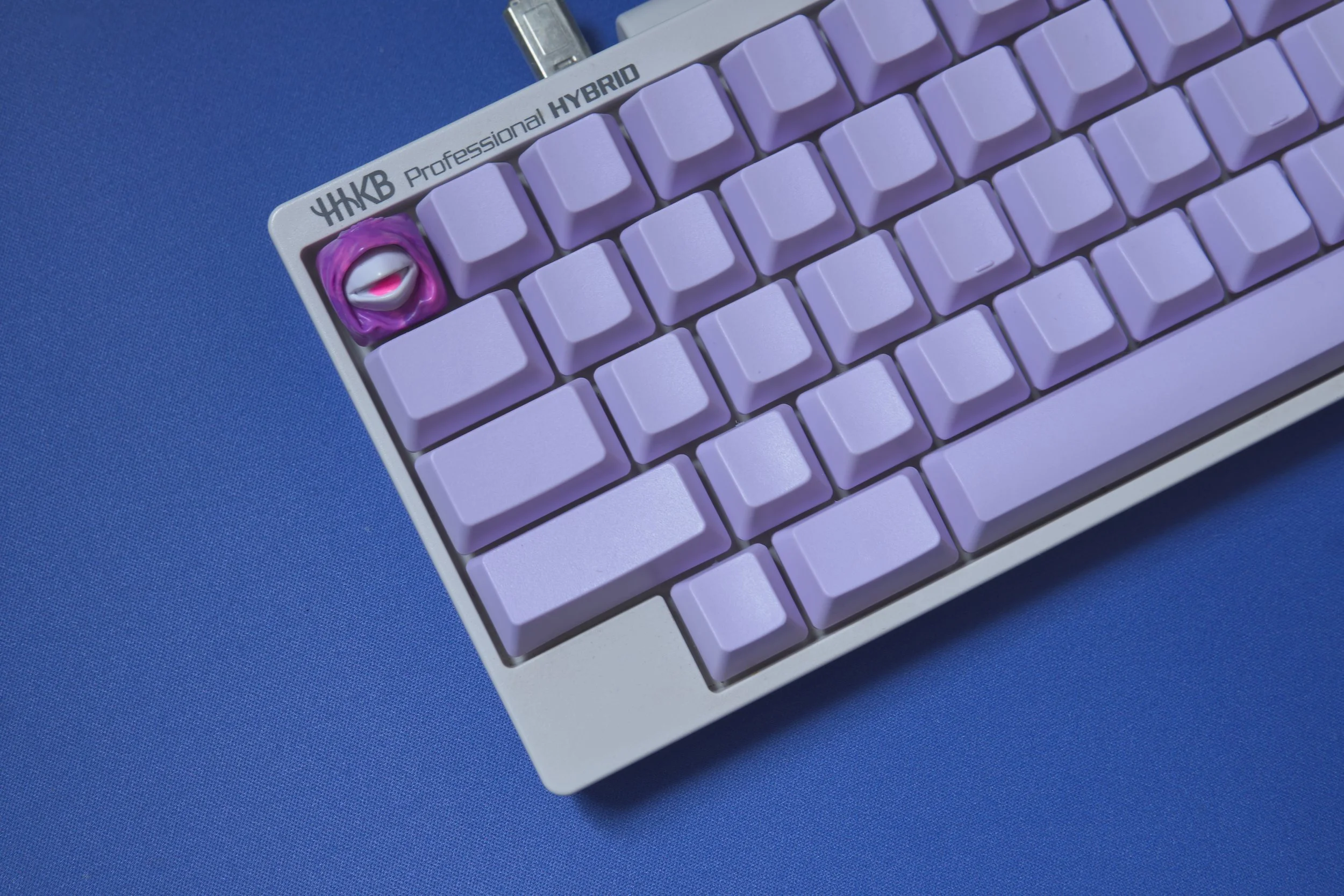 HHKB Wisteria Blanks