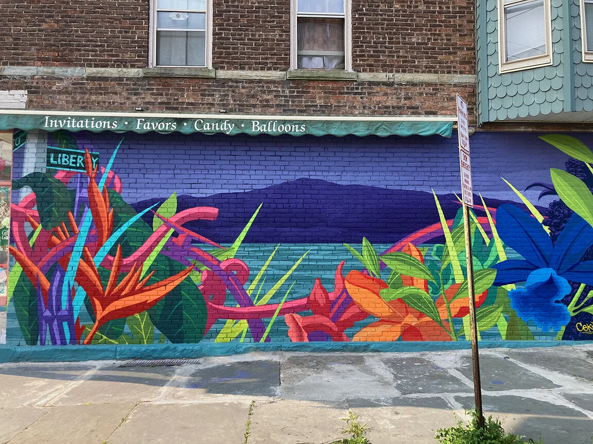 “From the corner”  Newburgh NY 2020